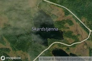 Skardstjorna