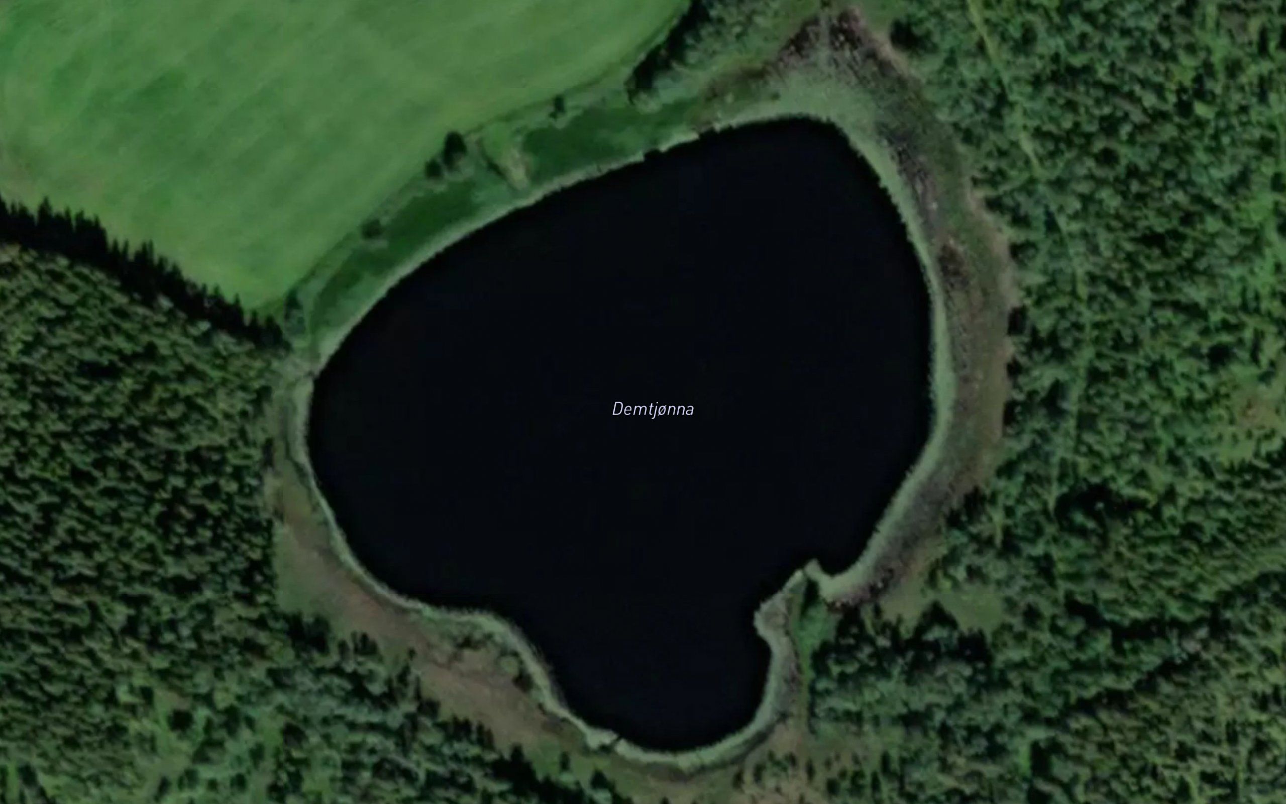 Demtjorna