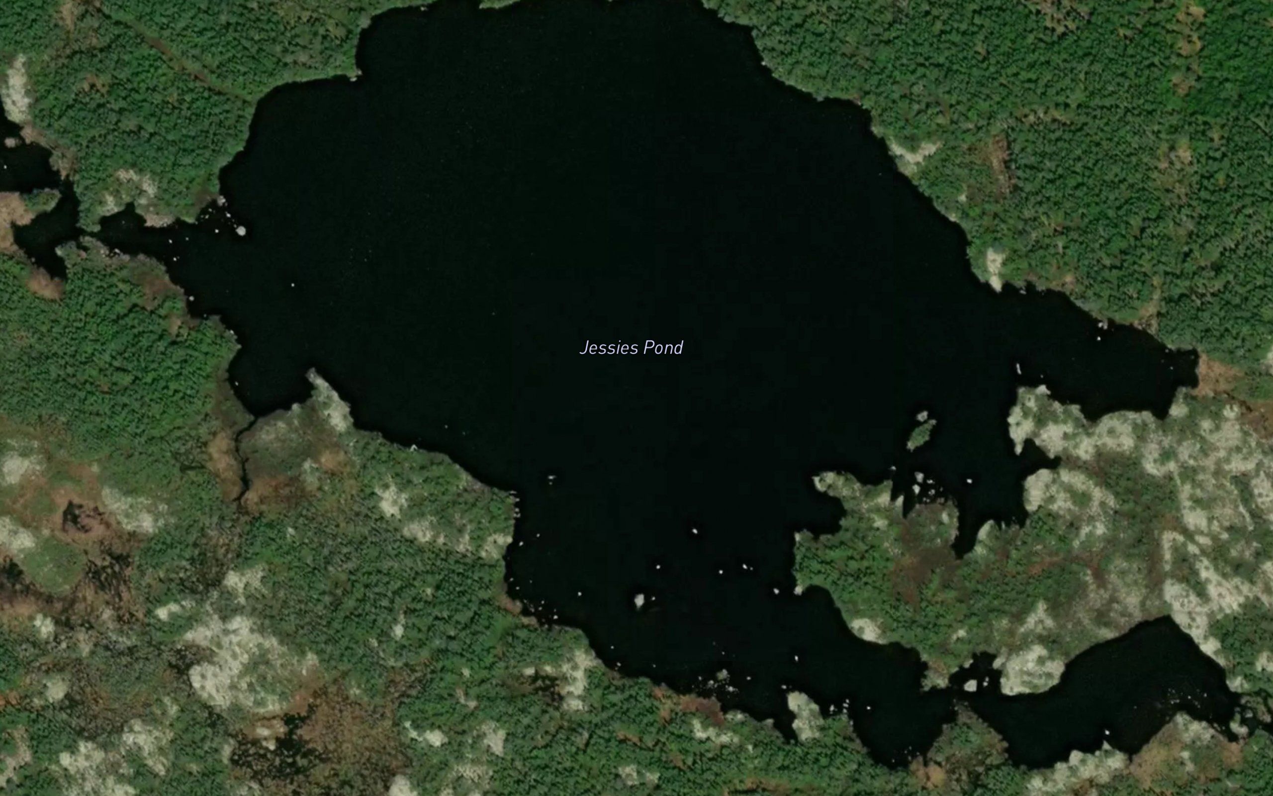 Jessies Pond