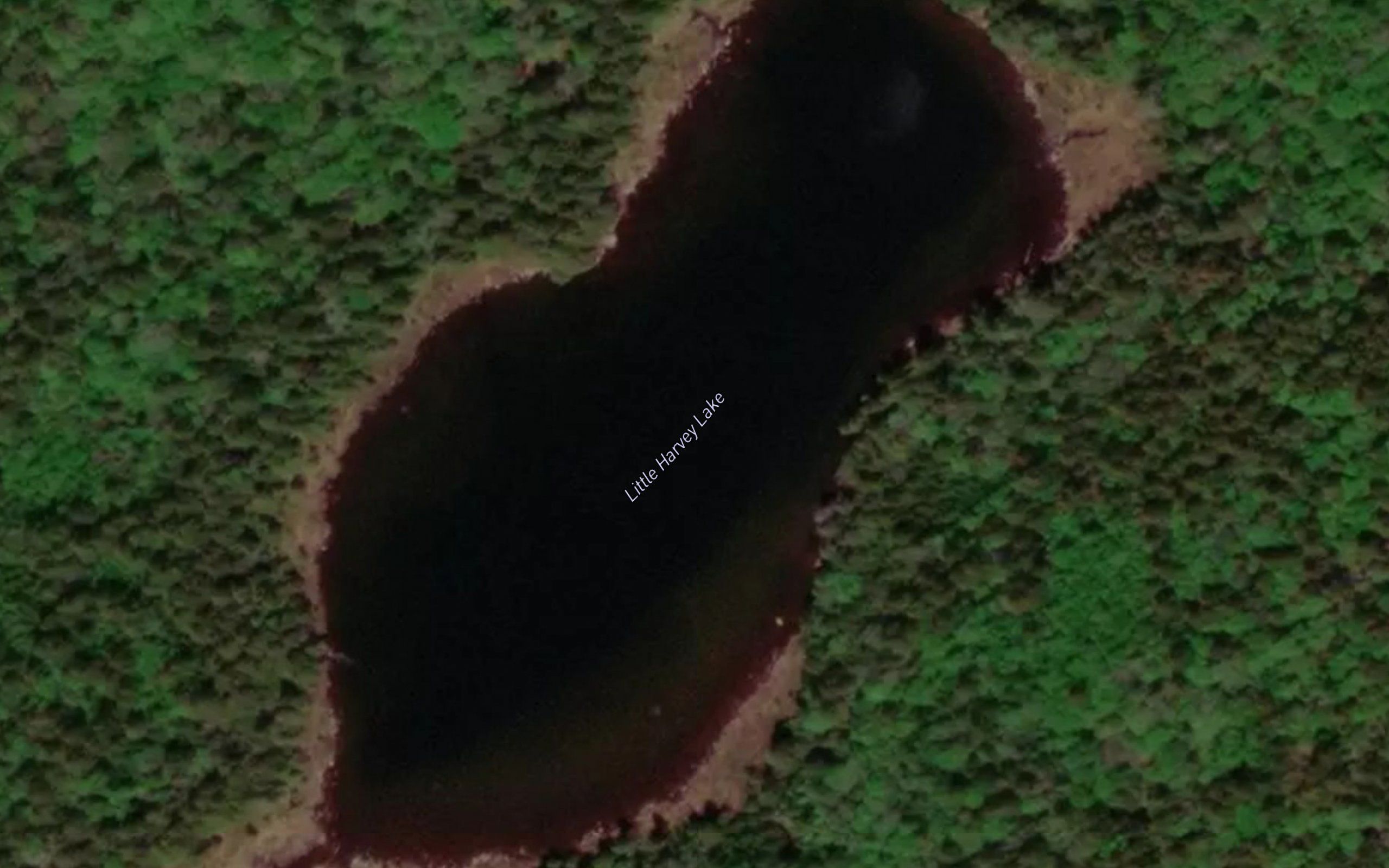 Little Harvey Lake