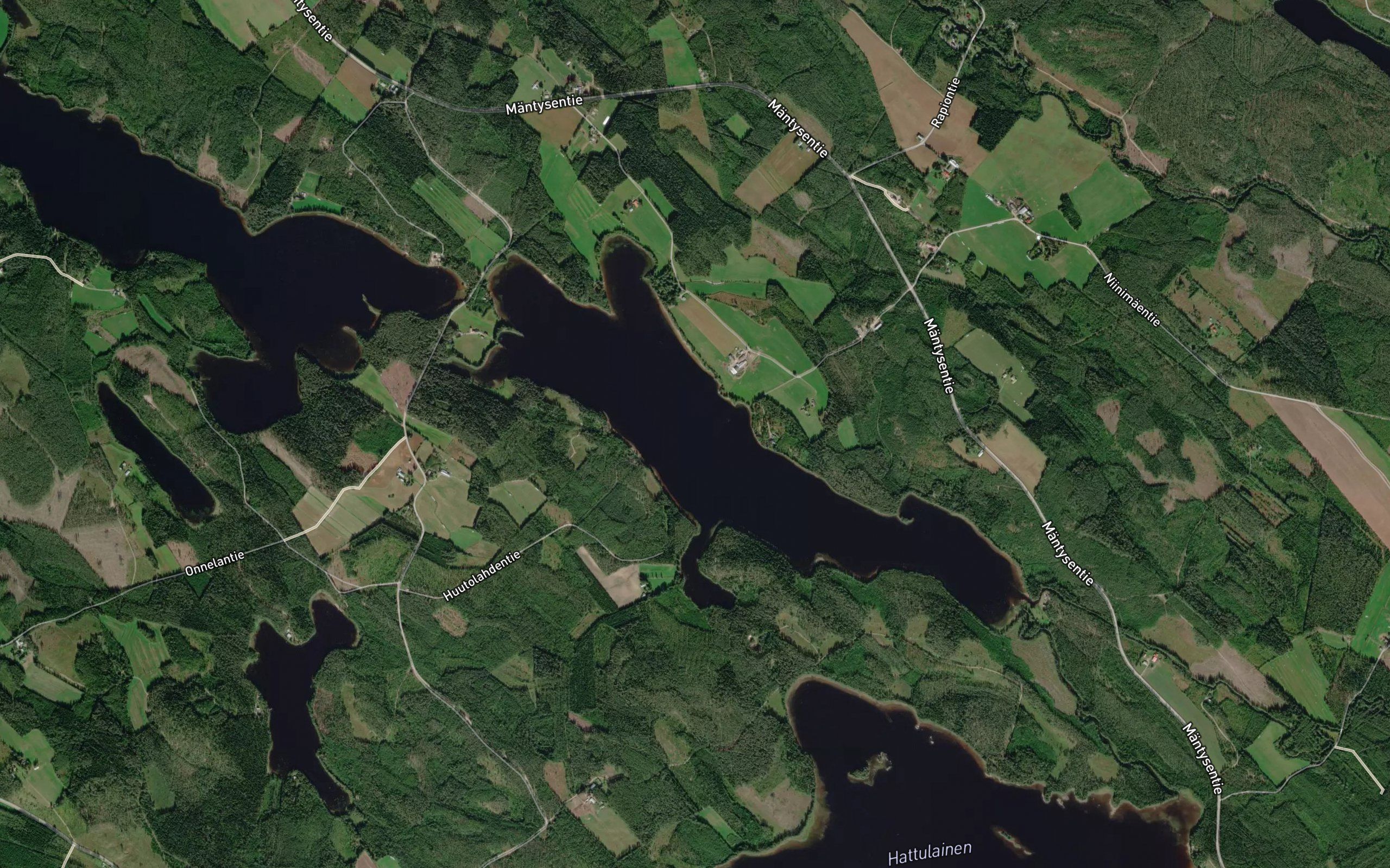 Pieni-Mantynen