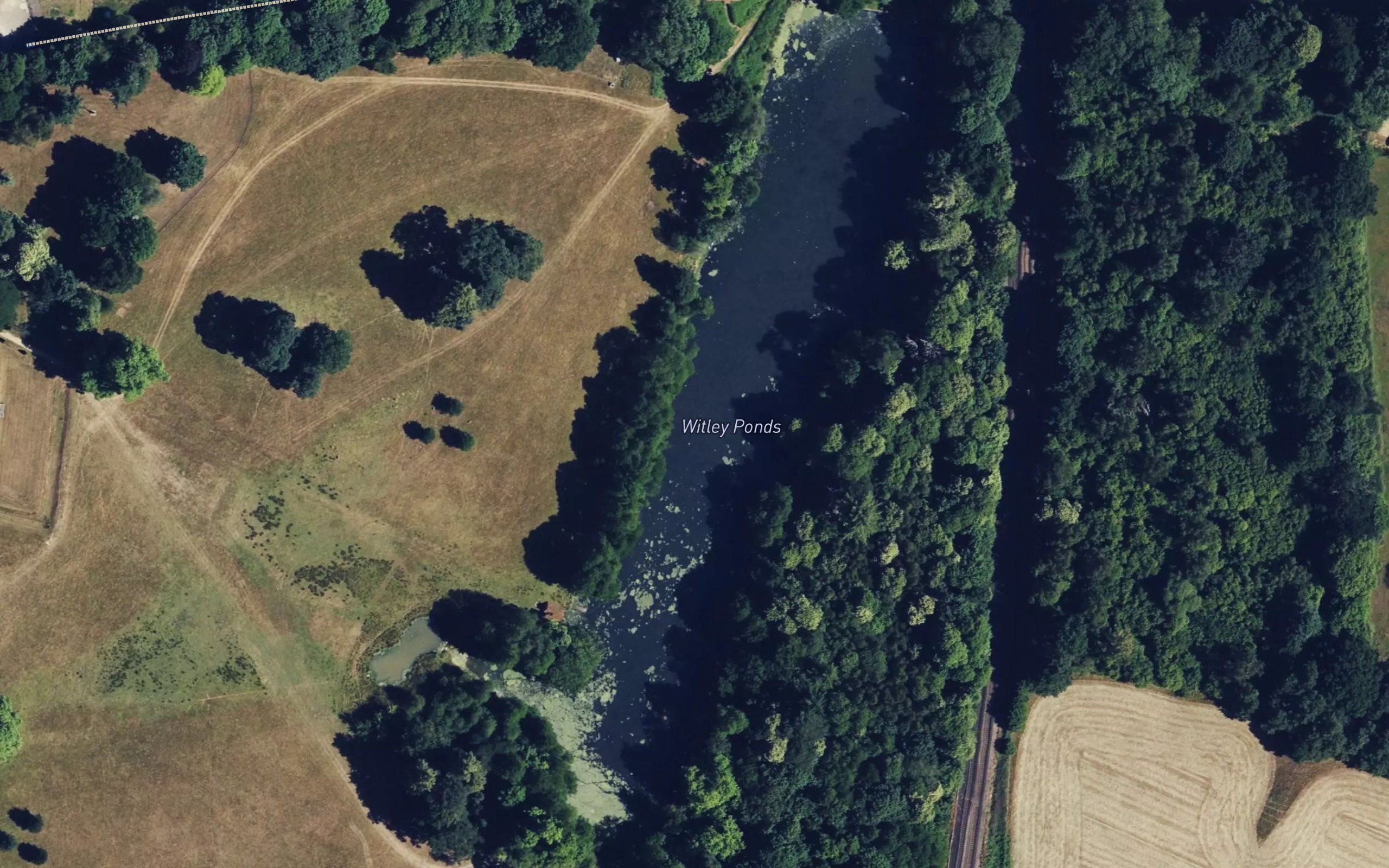 Witley Ponds