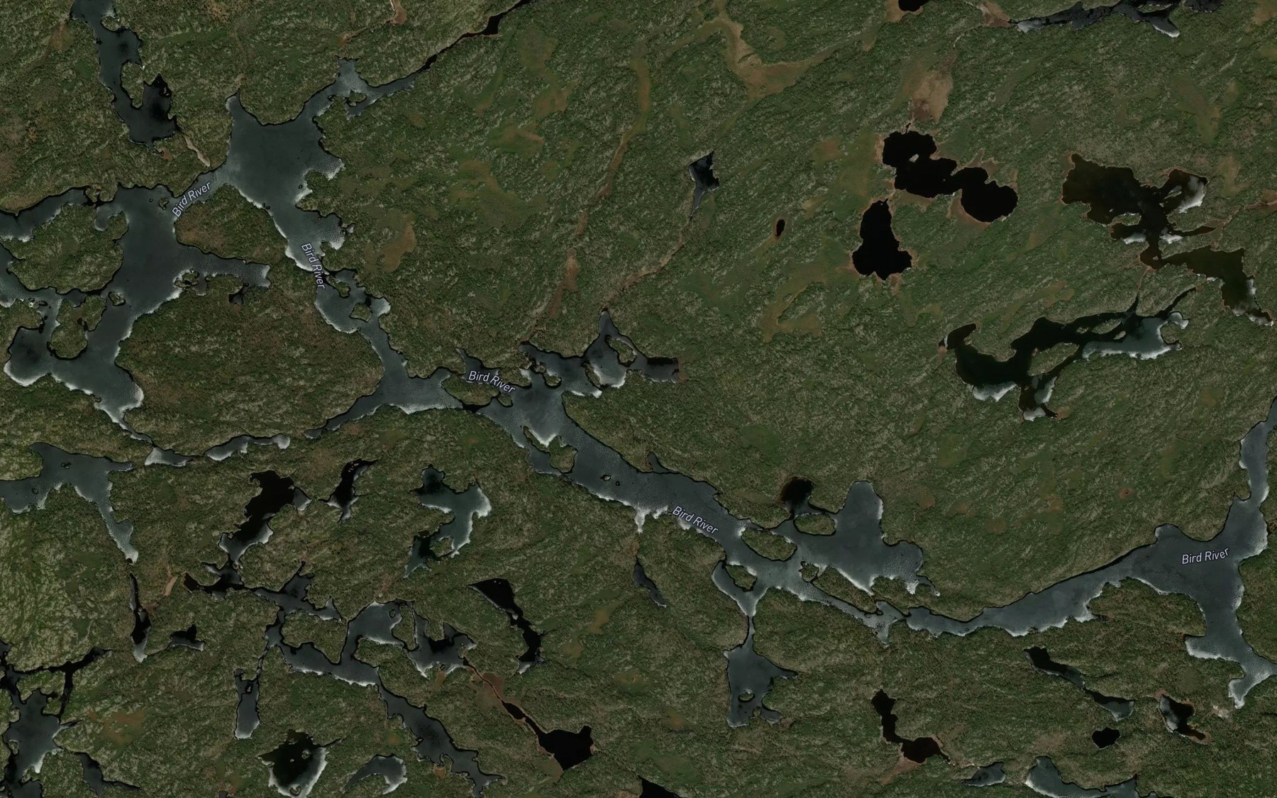 Satellite map of the Paull Lake