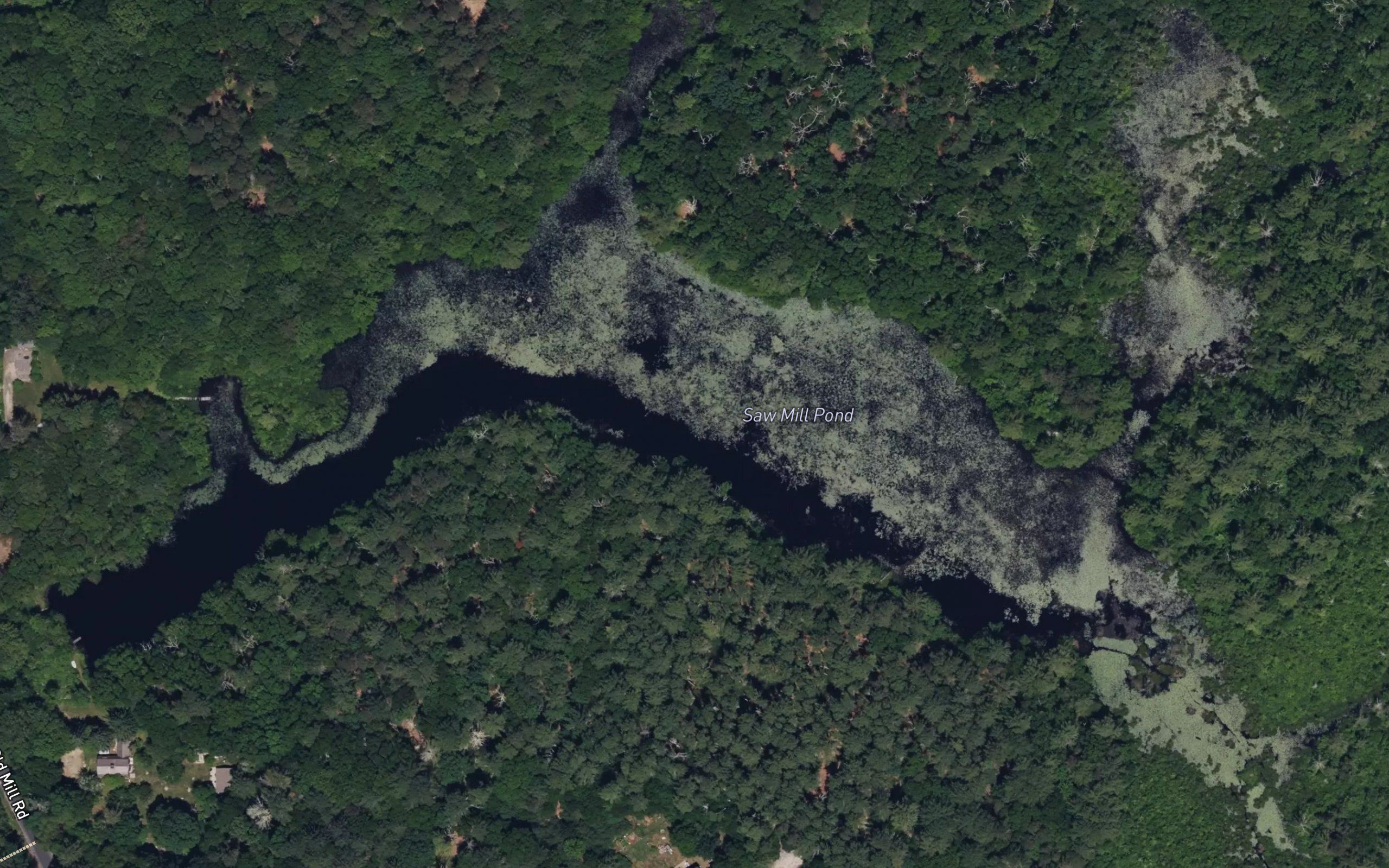 Saw Mill Pond