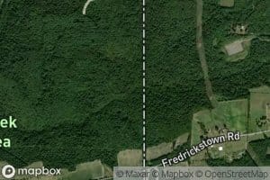 East Branch Pine Run