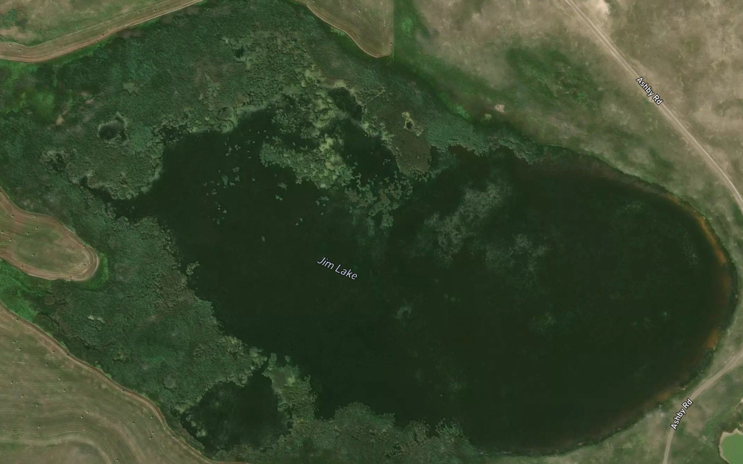 Jim Lake