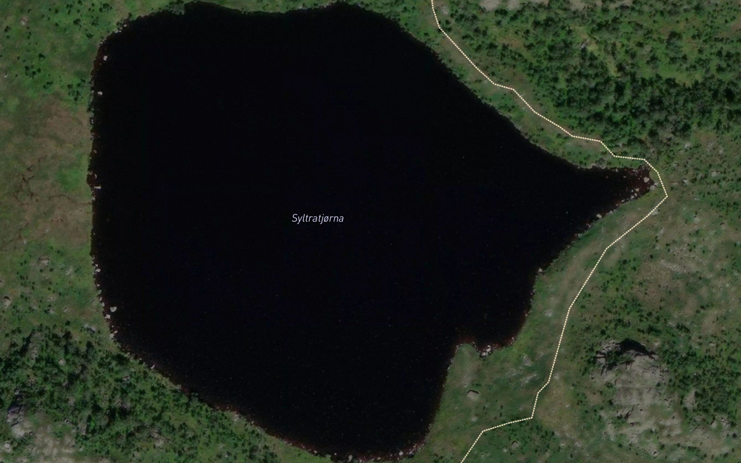 Syltratjorna