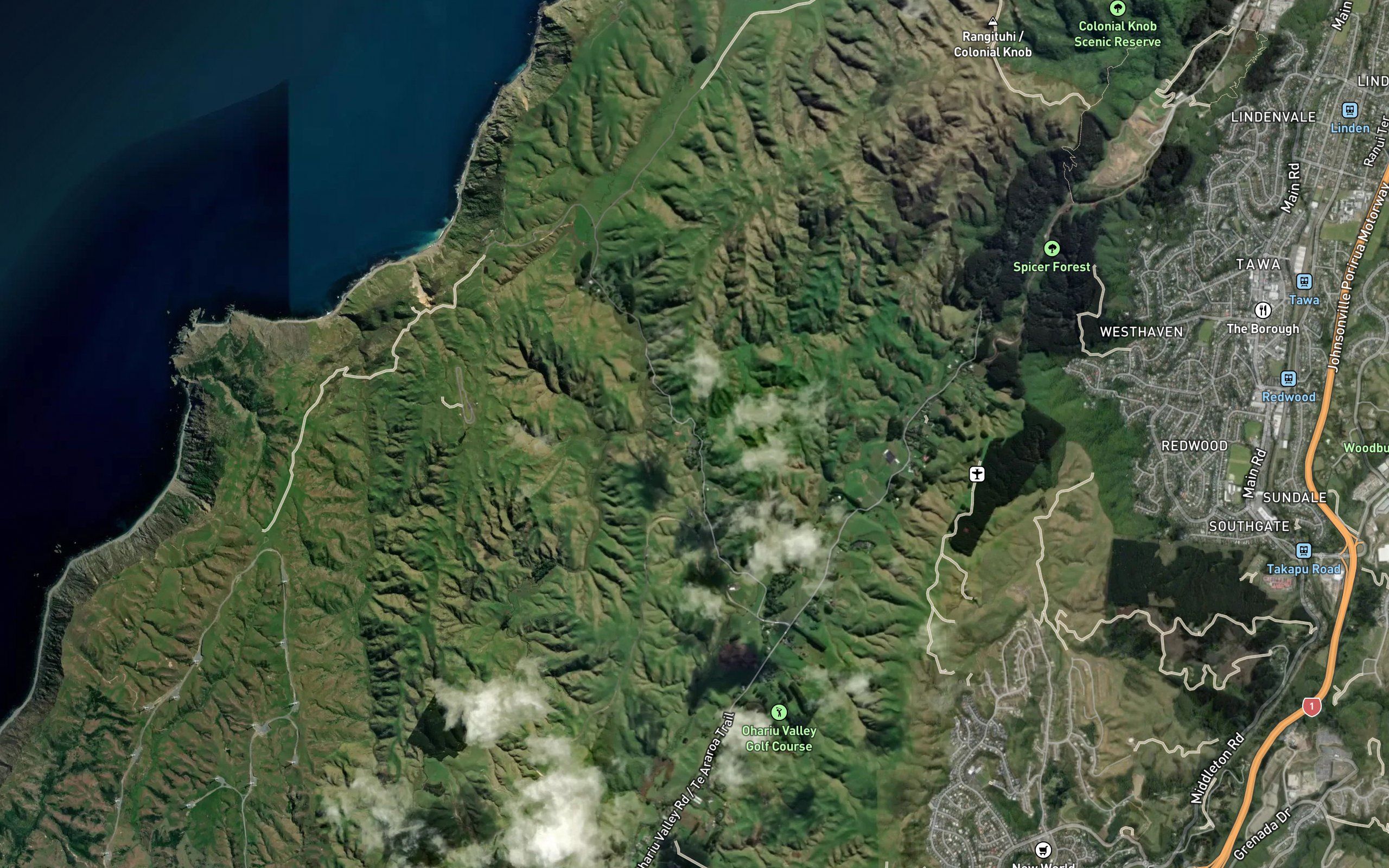 Ohariu Stream