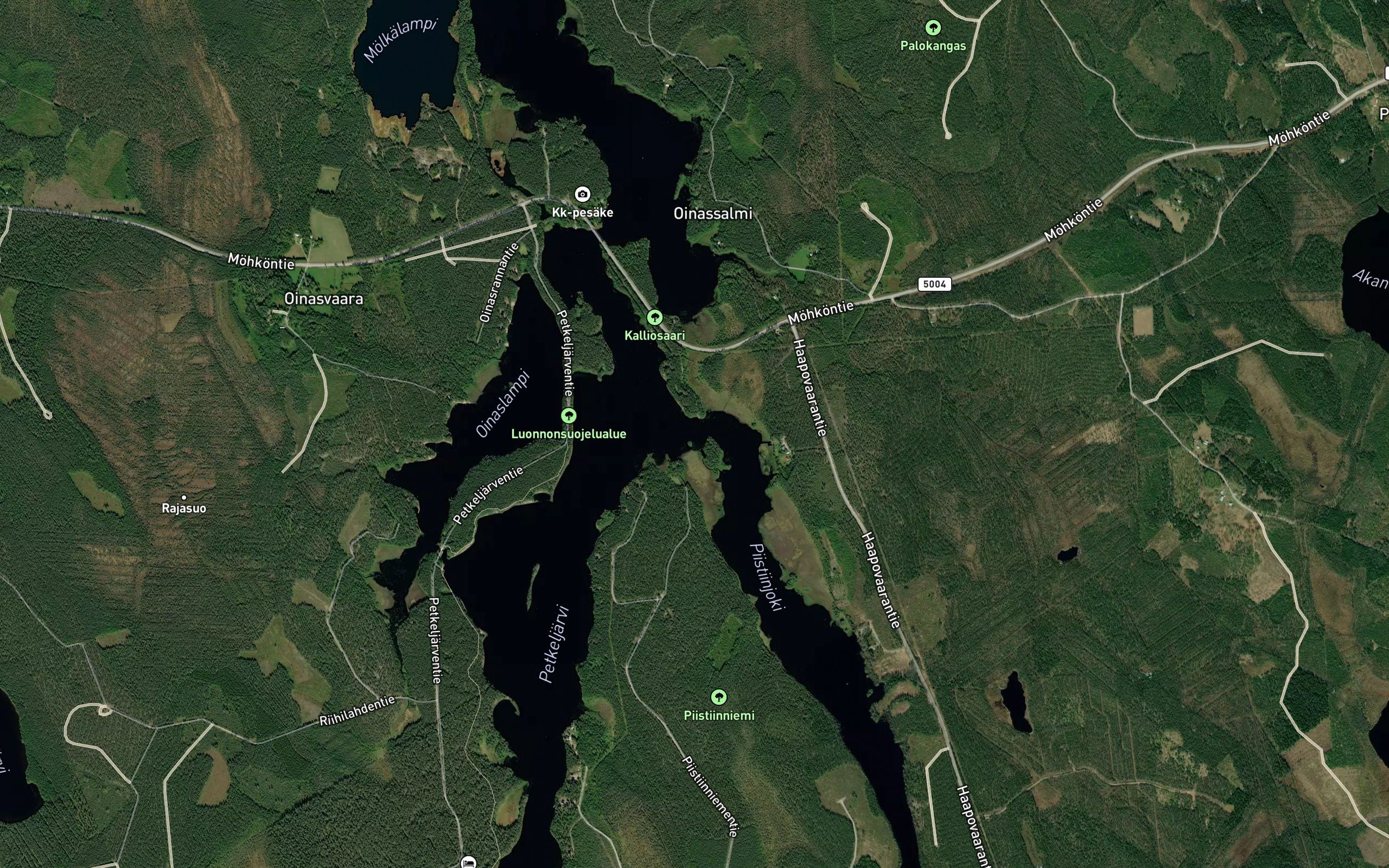 Piistiinjoki