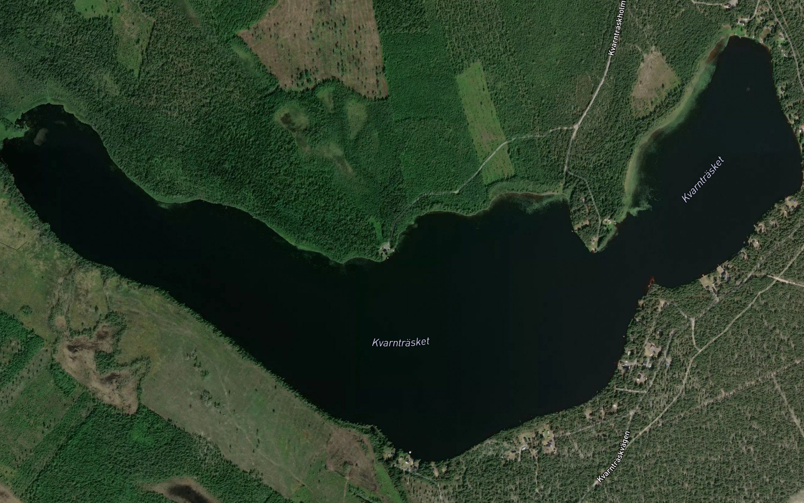 Kvarntrask