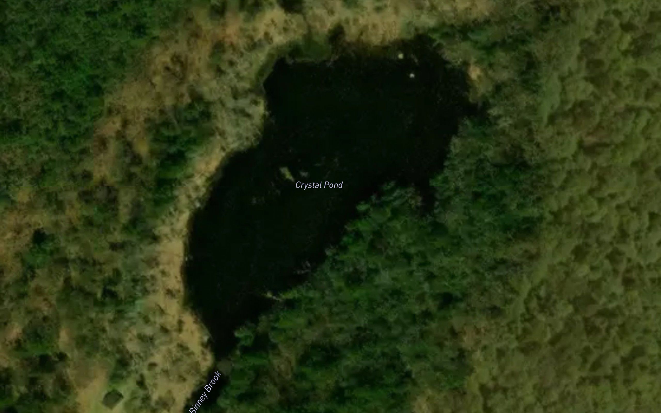 Crystal Pond