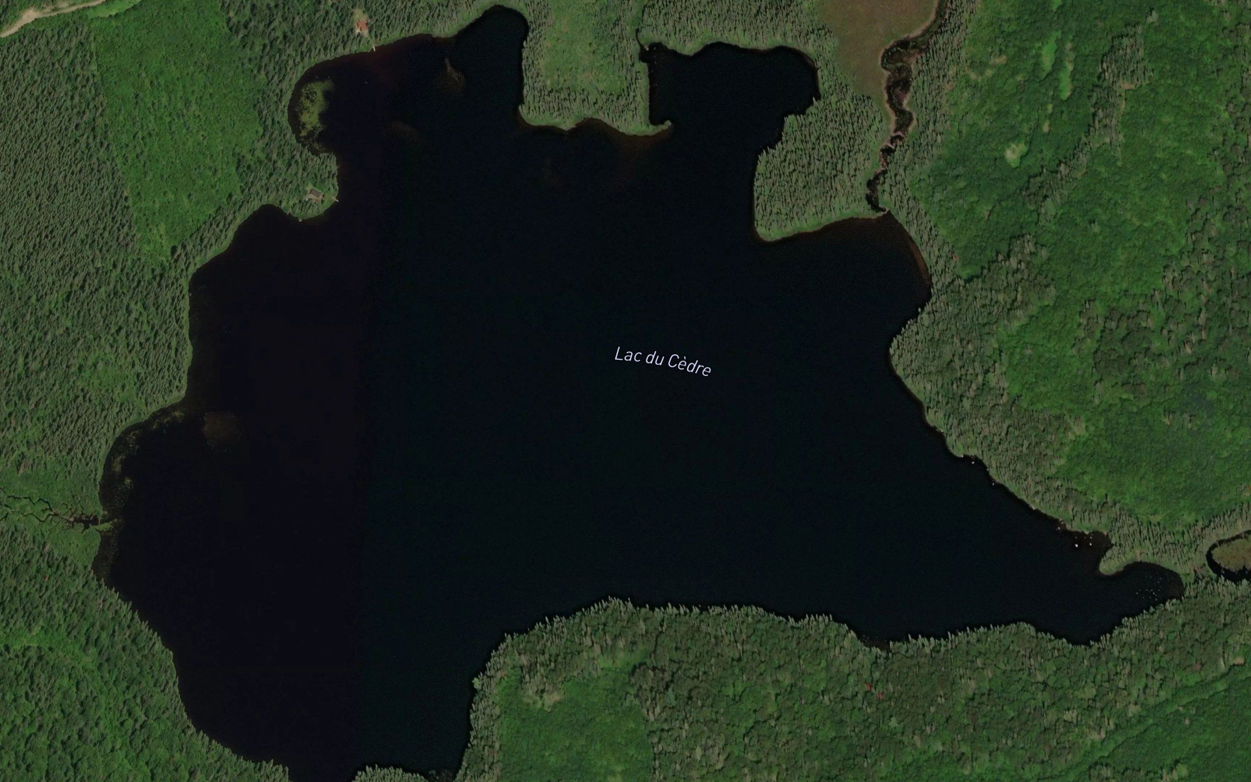 Lac du Cedre