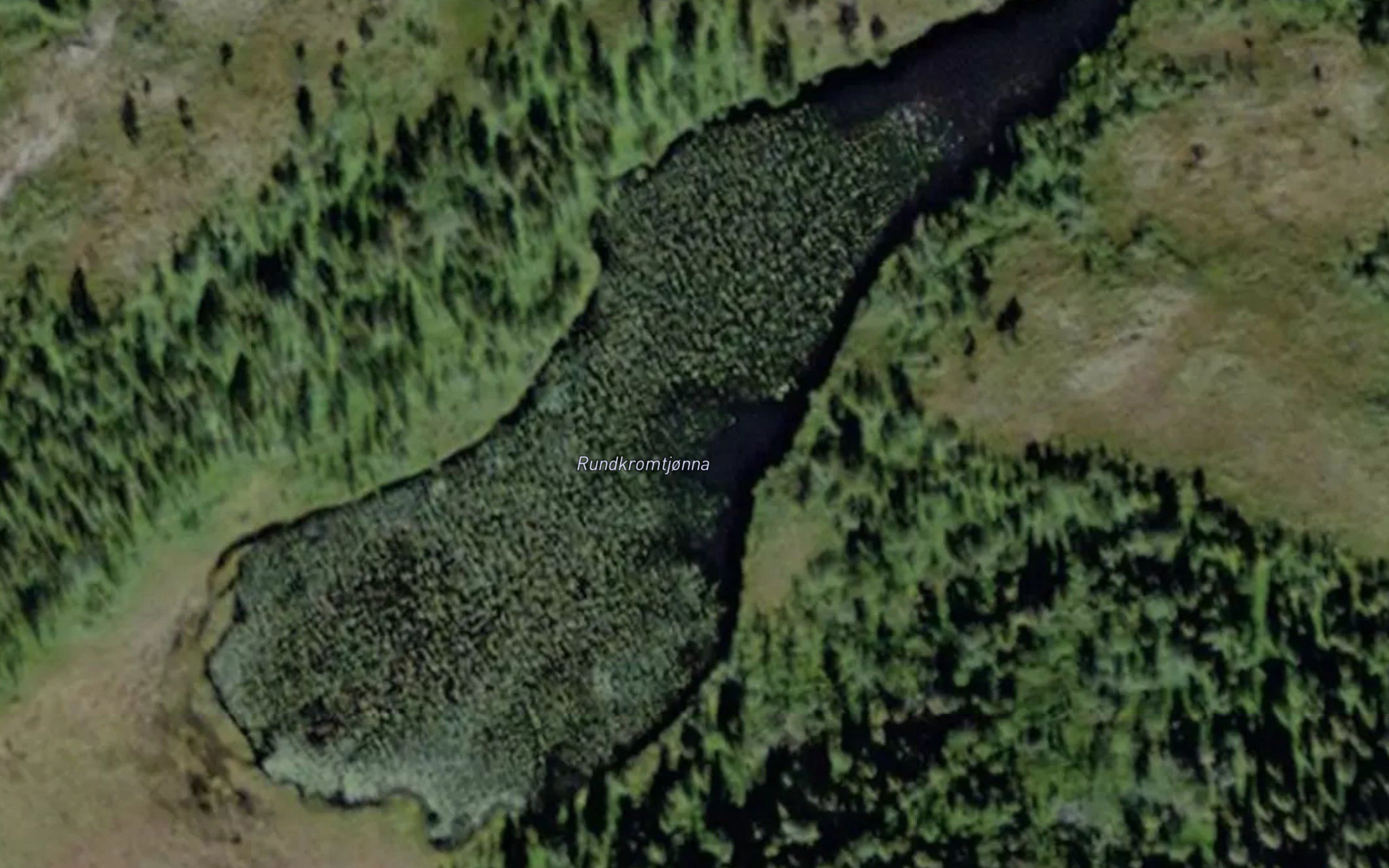 Rundkromtjorna