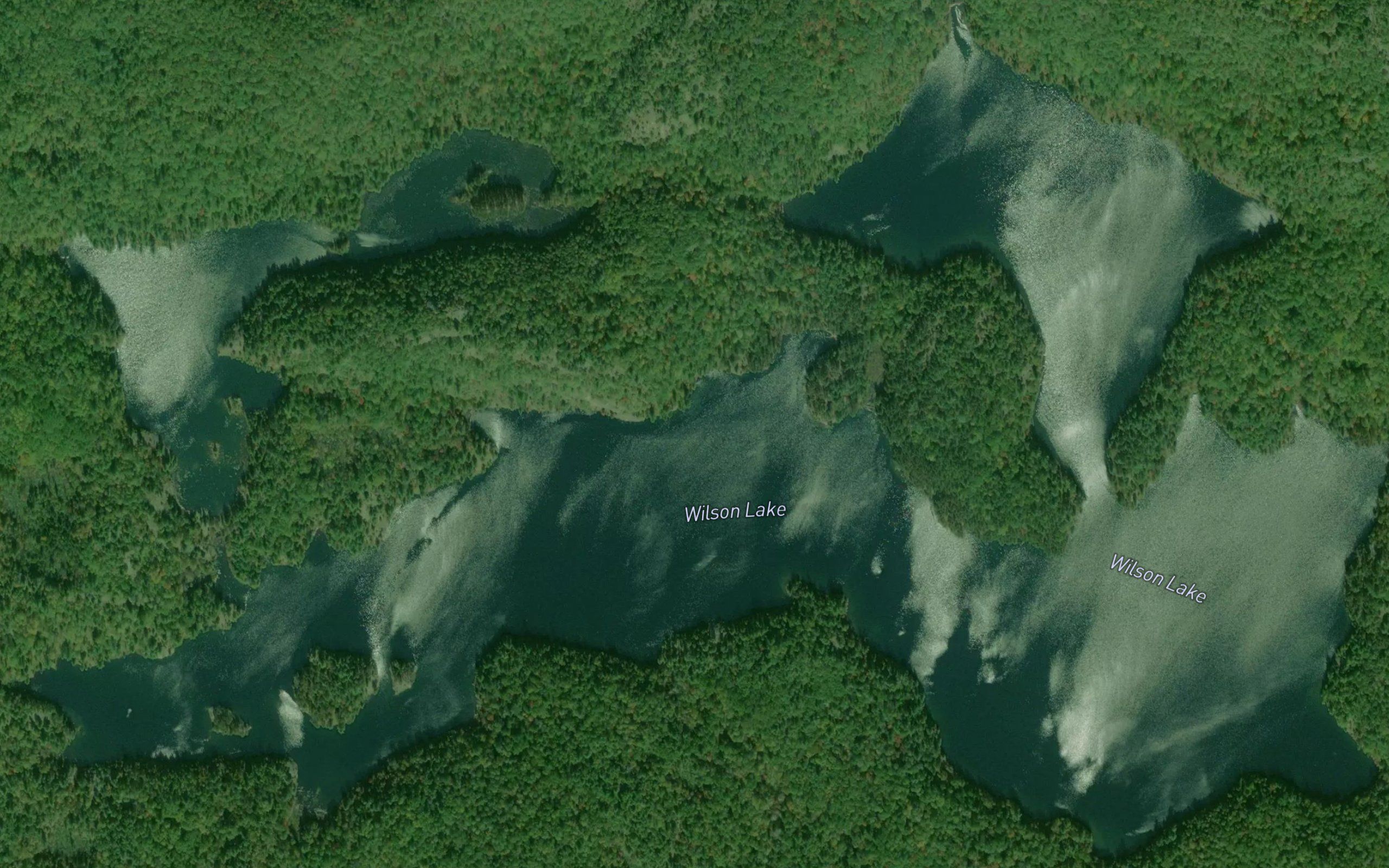 Wilson Lake