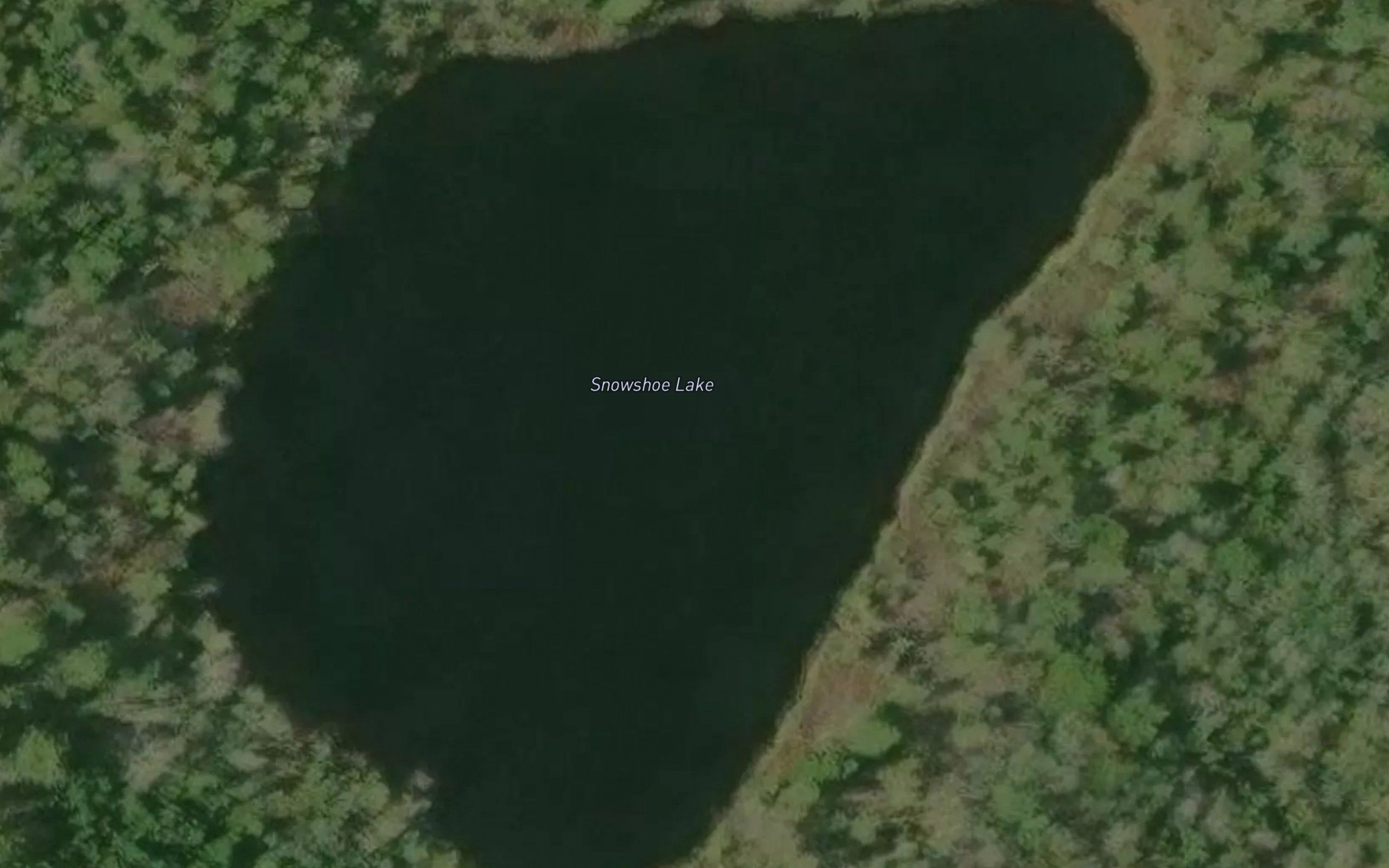 Snowshoe Lake