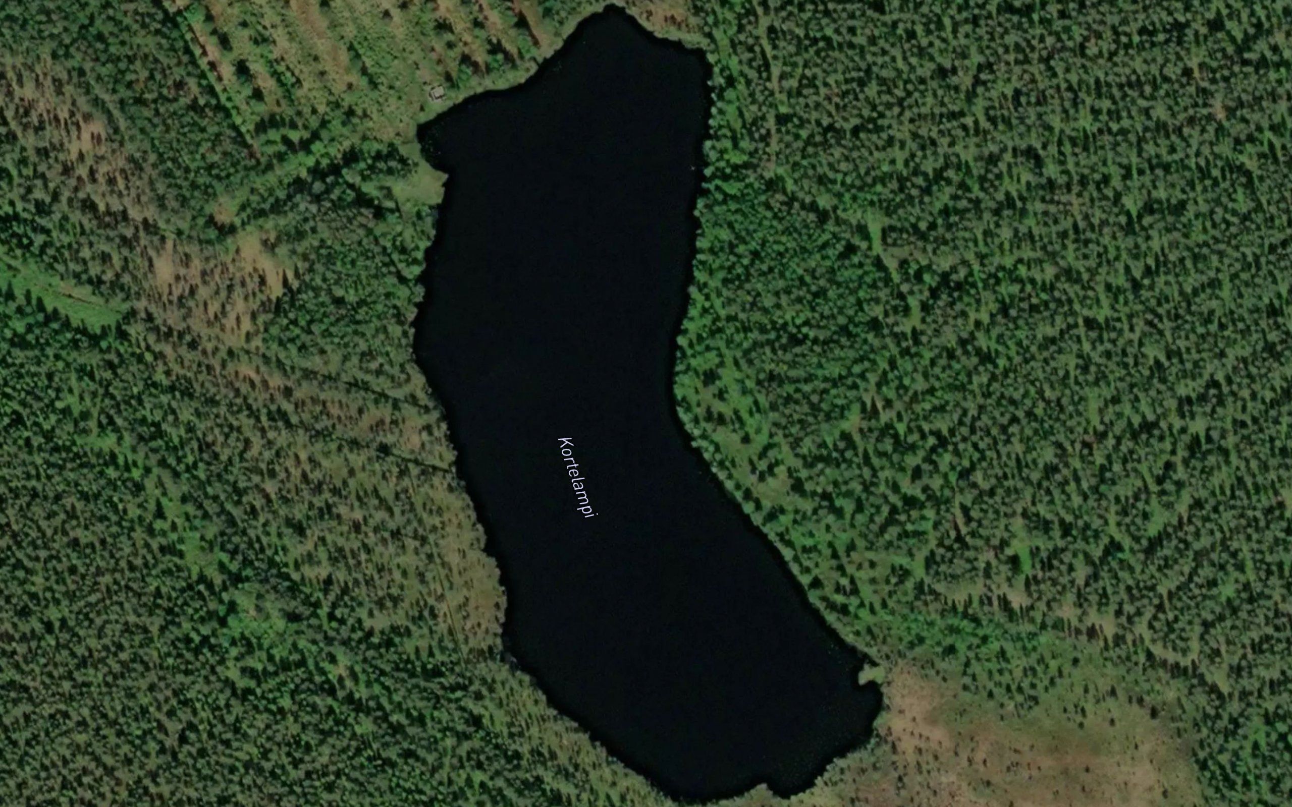 Kortelampi