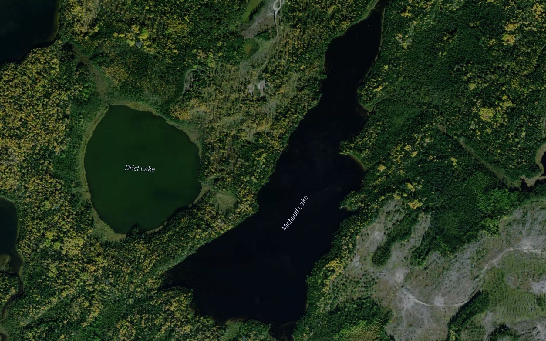 Satellite map of the Michaud Lake