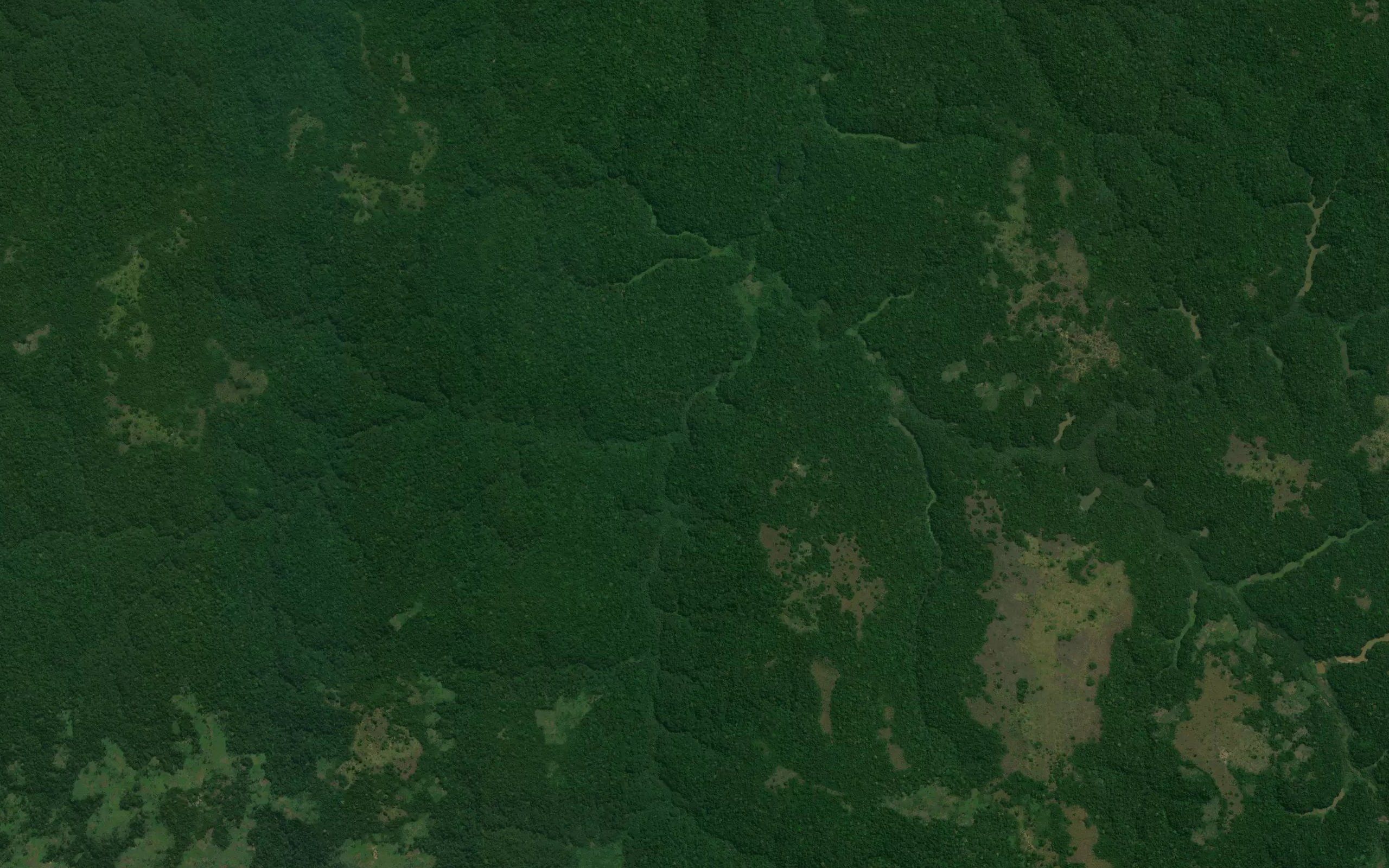Tshibila