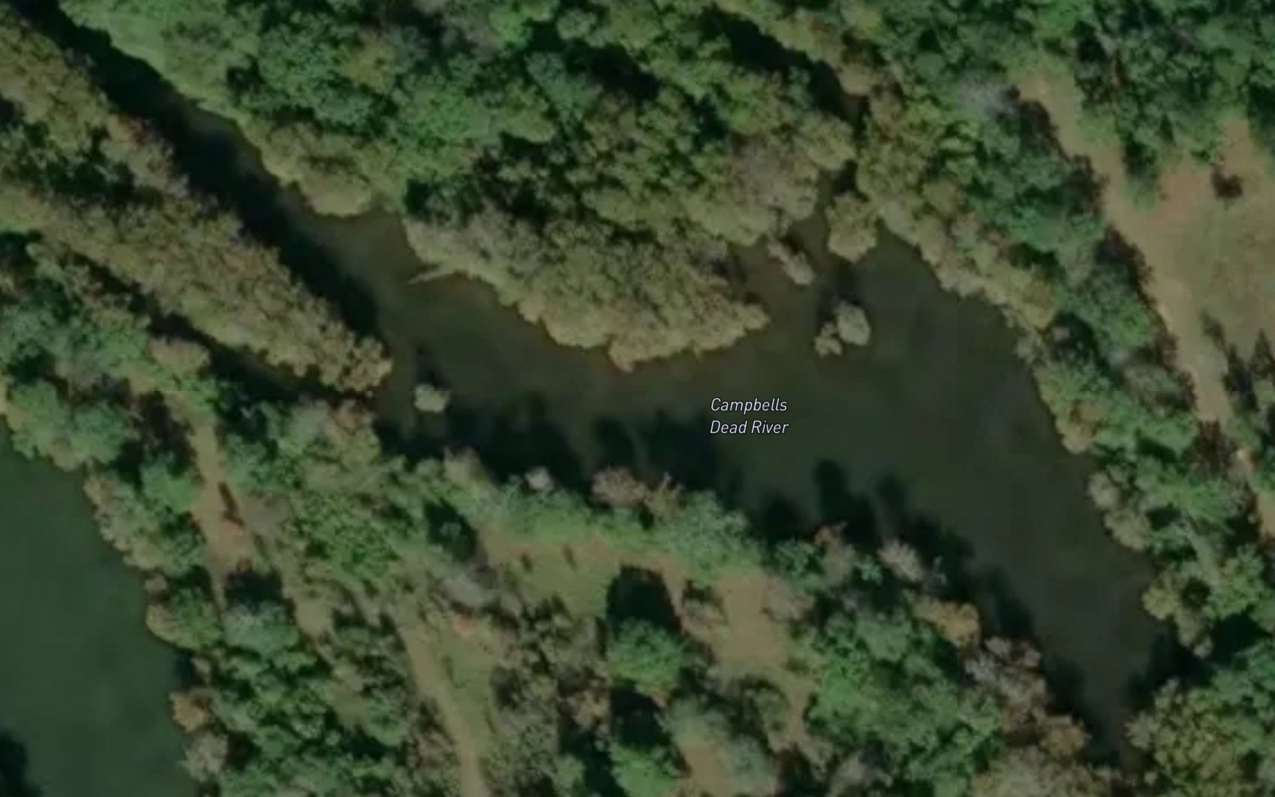 Campbells Dead River