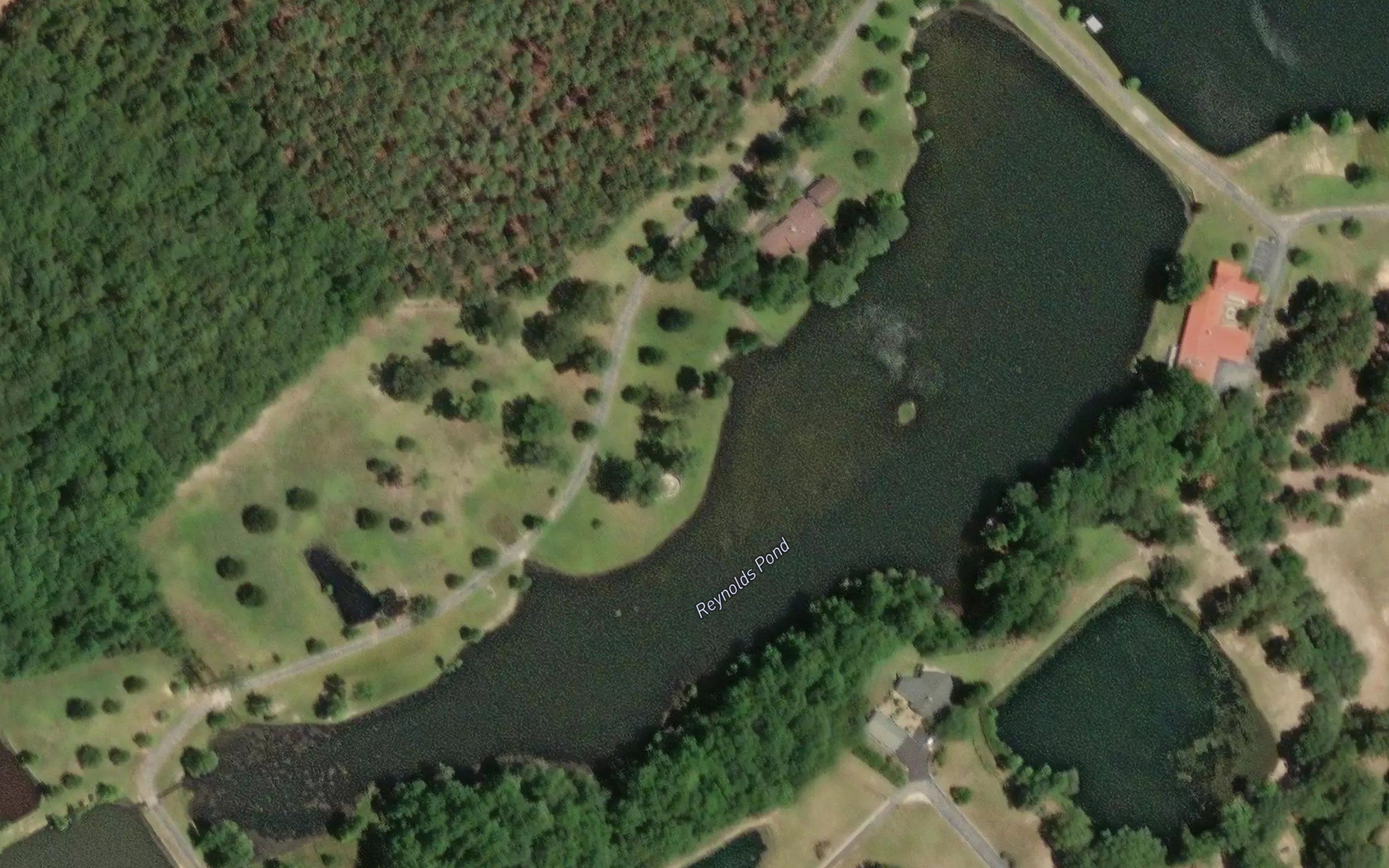 Reynolds Pond