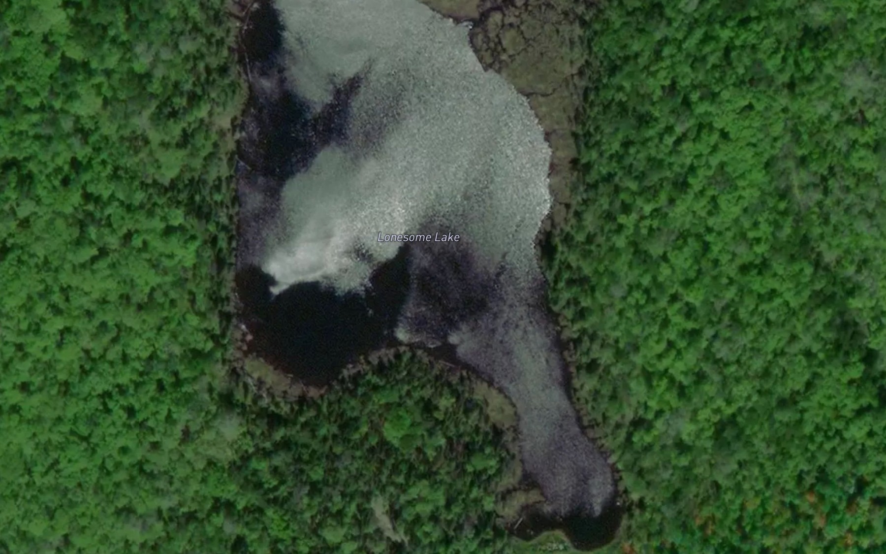 Satellite map of the Lonesome Lake