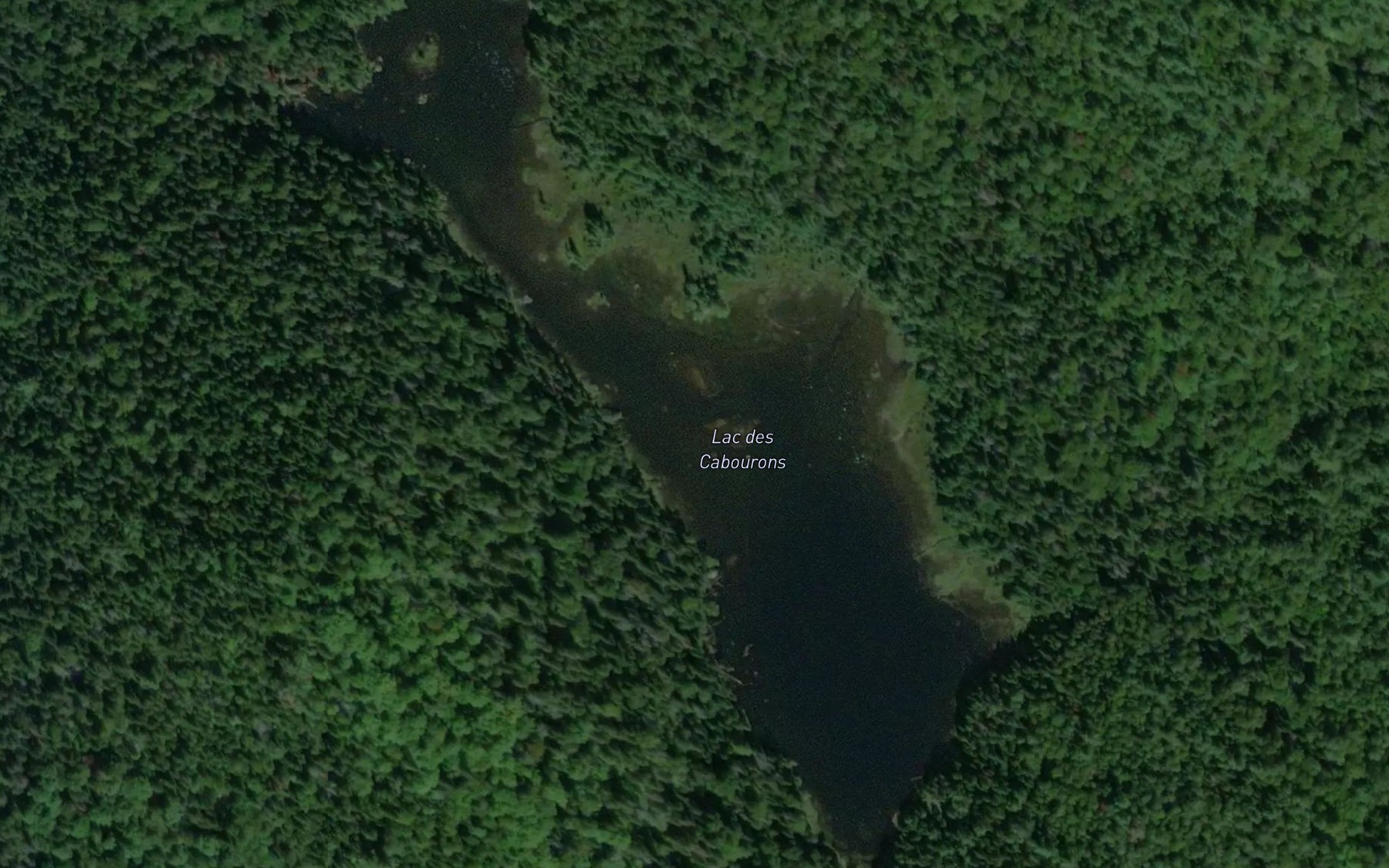Satellite map of the Lac des Cabourons
