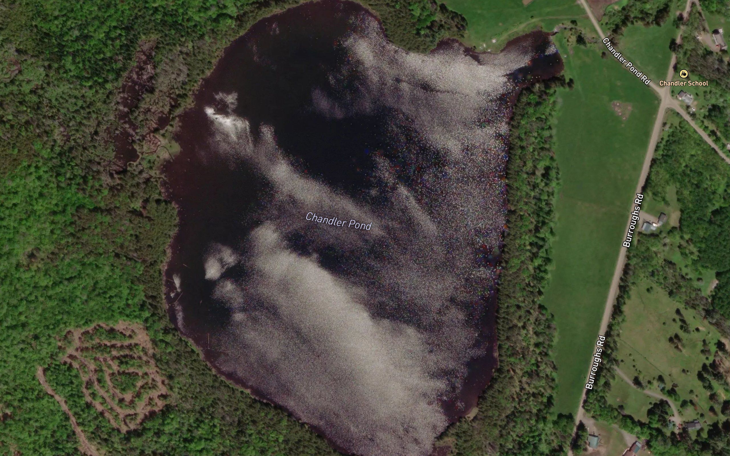 Chandler Pond