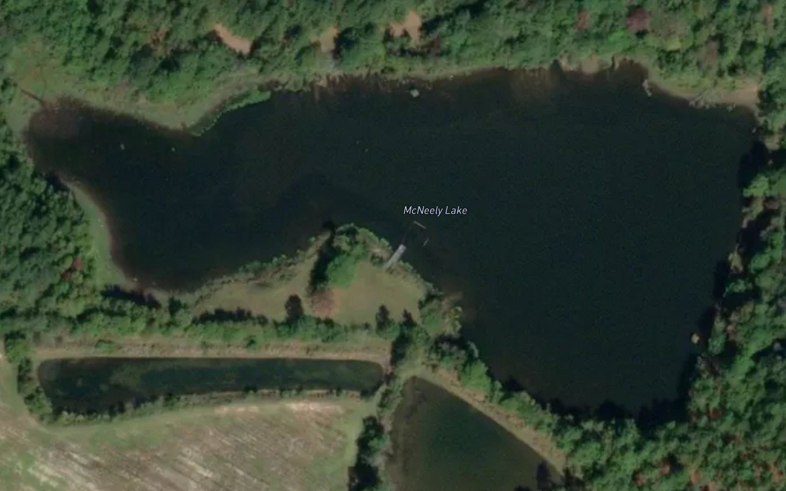 McNeely Lake