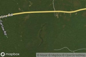 West Branch New Stream