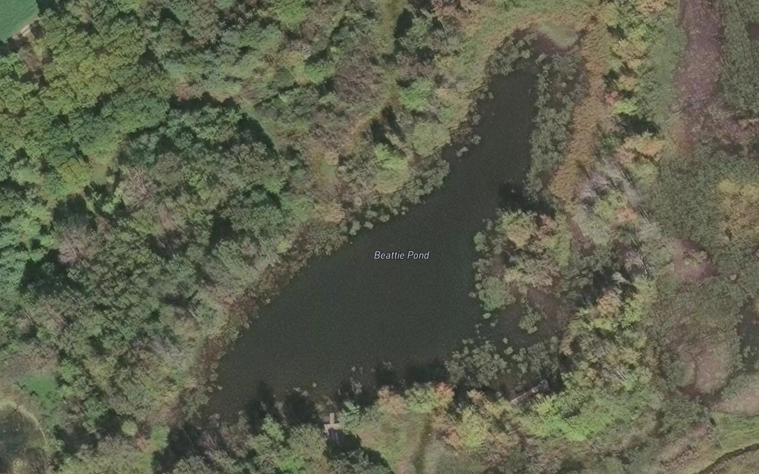 Beattie Pond