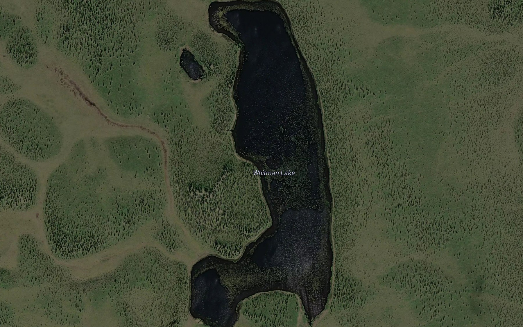 Satellite map of the Whitham Lake