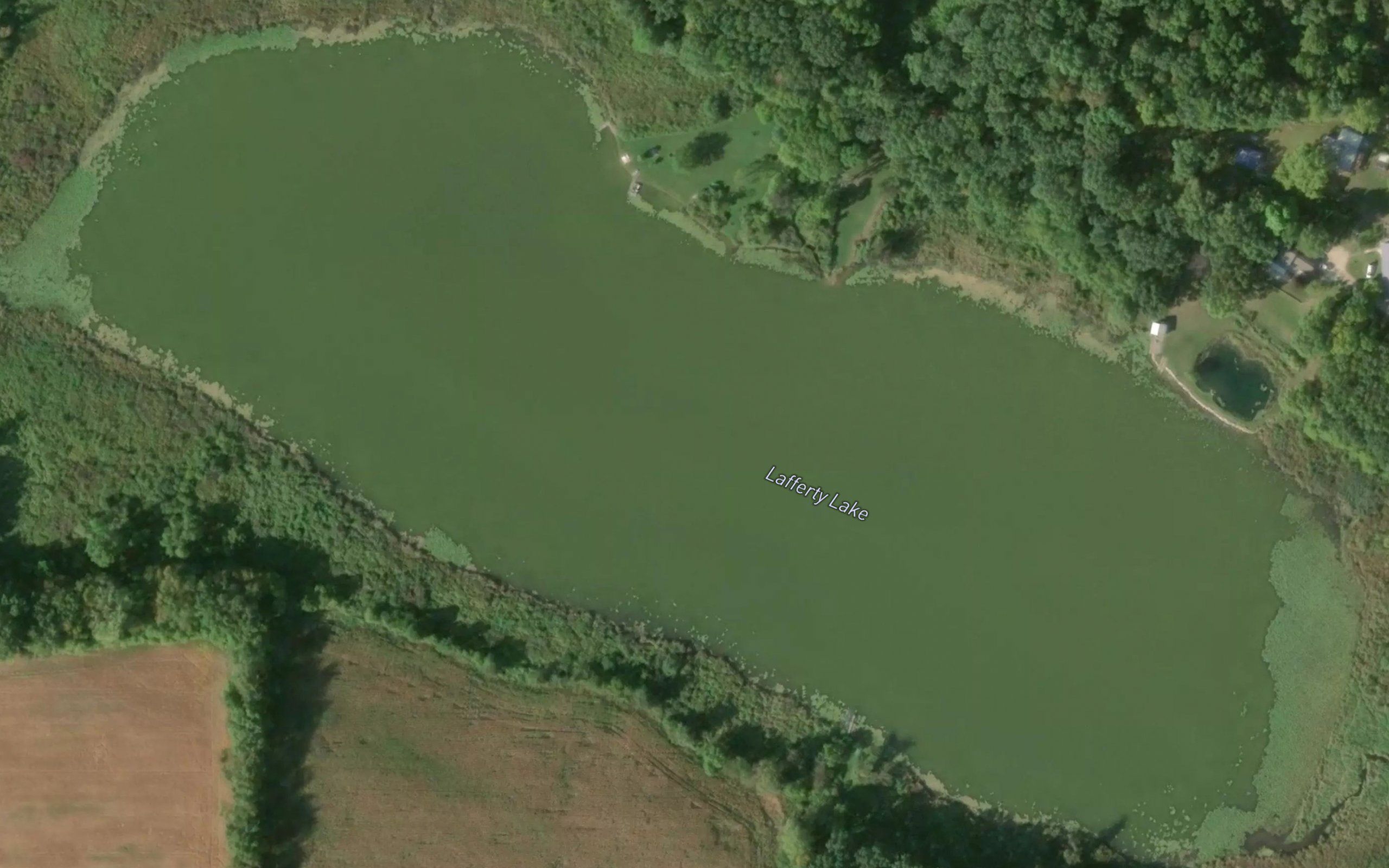 Lafferty Lake