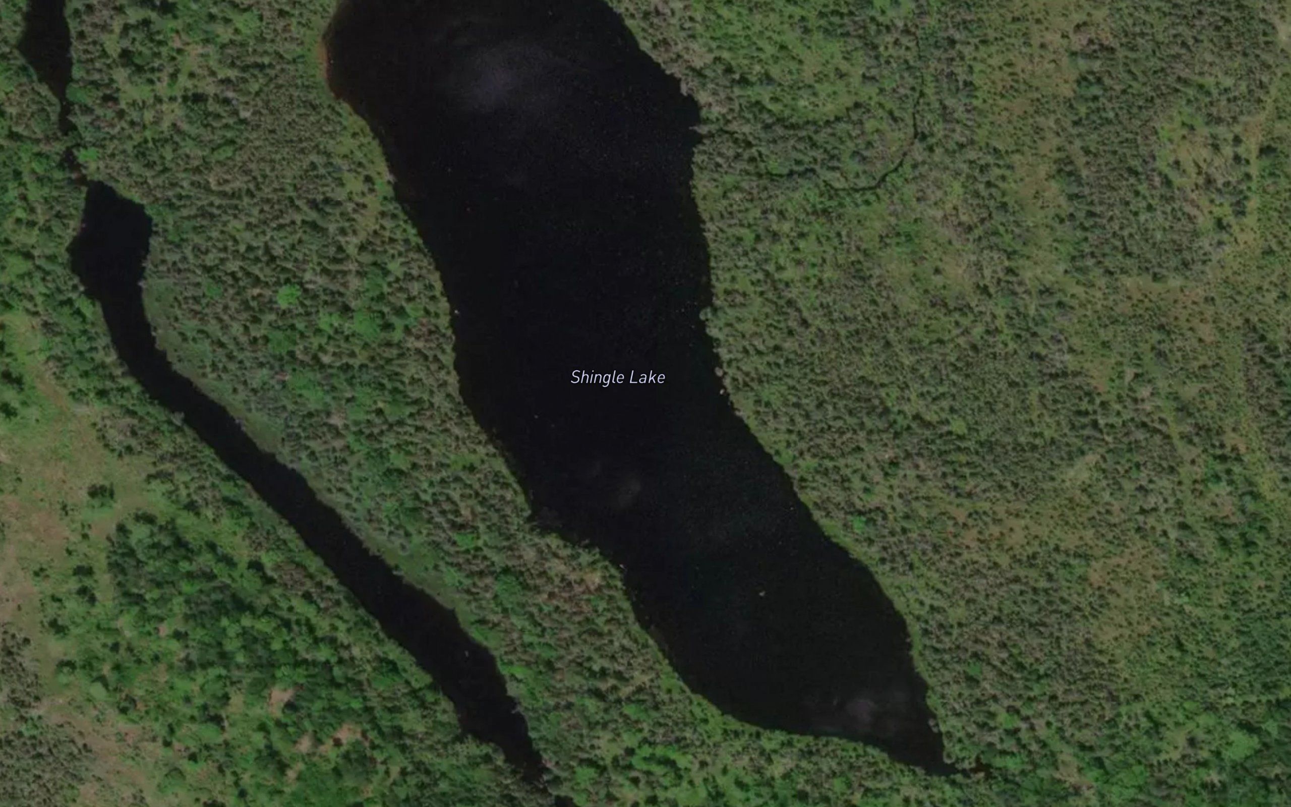 Shingle Lake