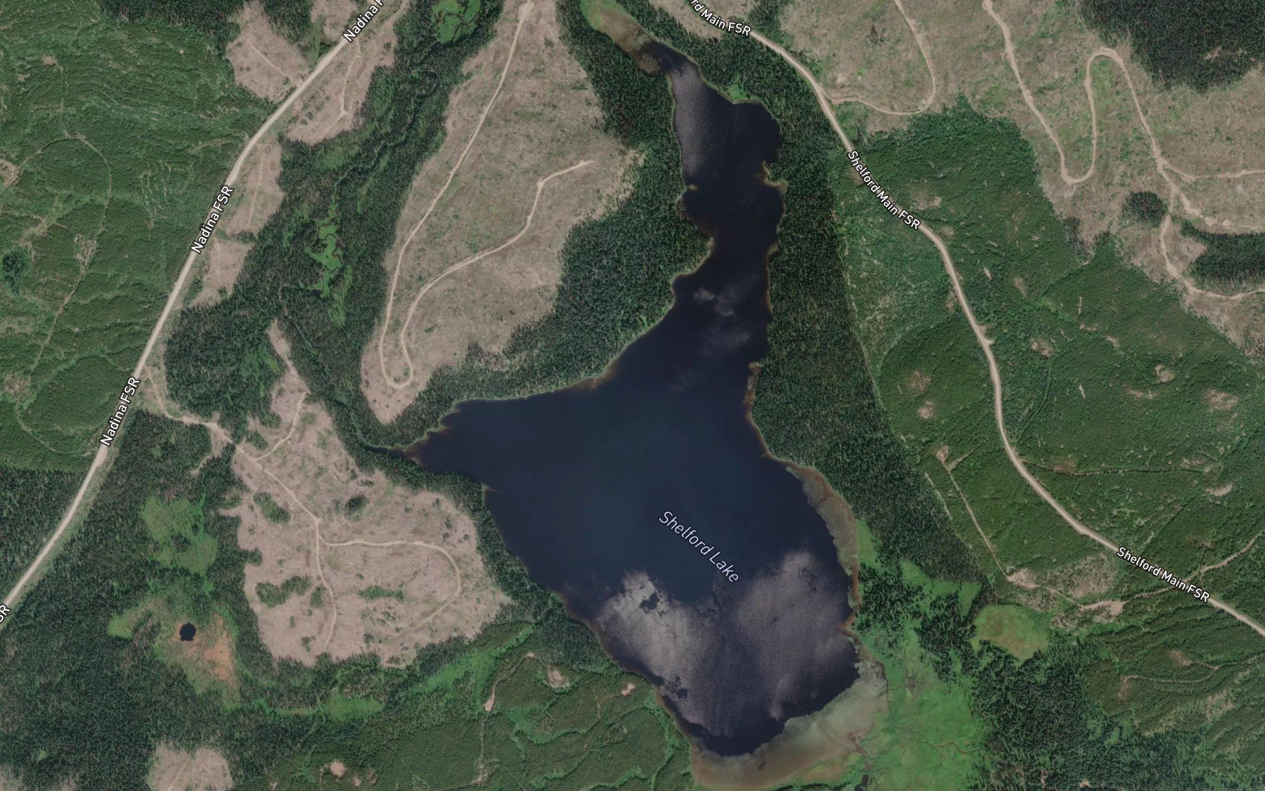 Shelford Lake