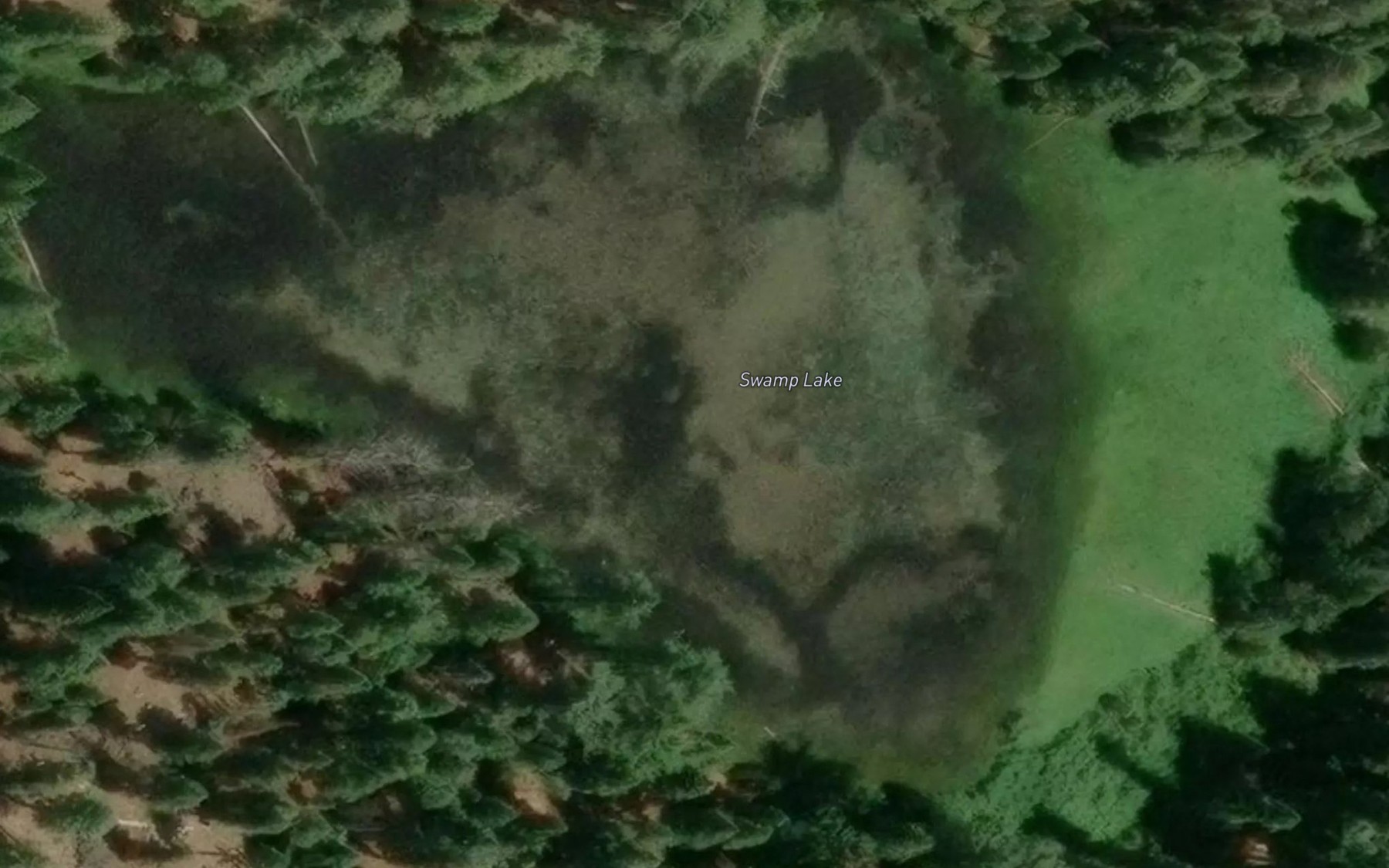 Satellite map of the Swamp Lake