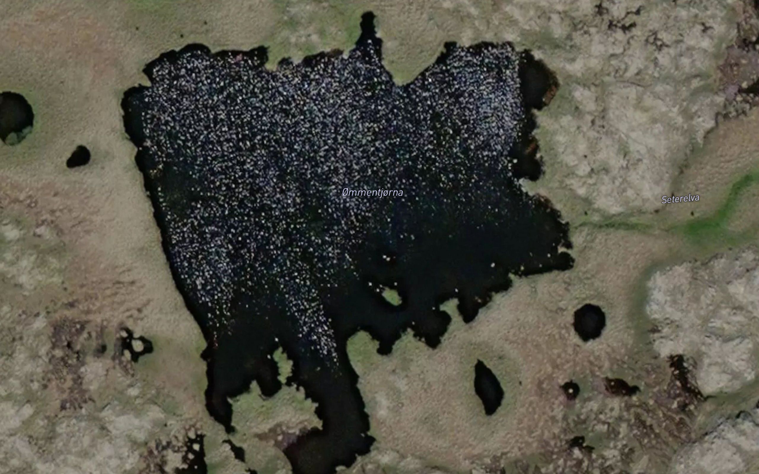 Ommentjorna