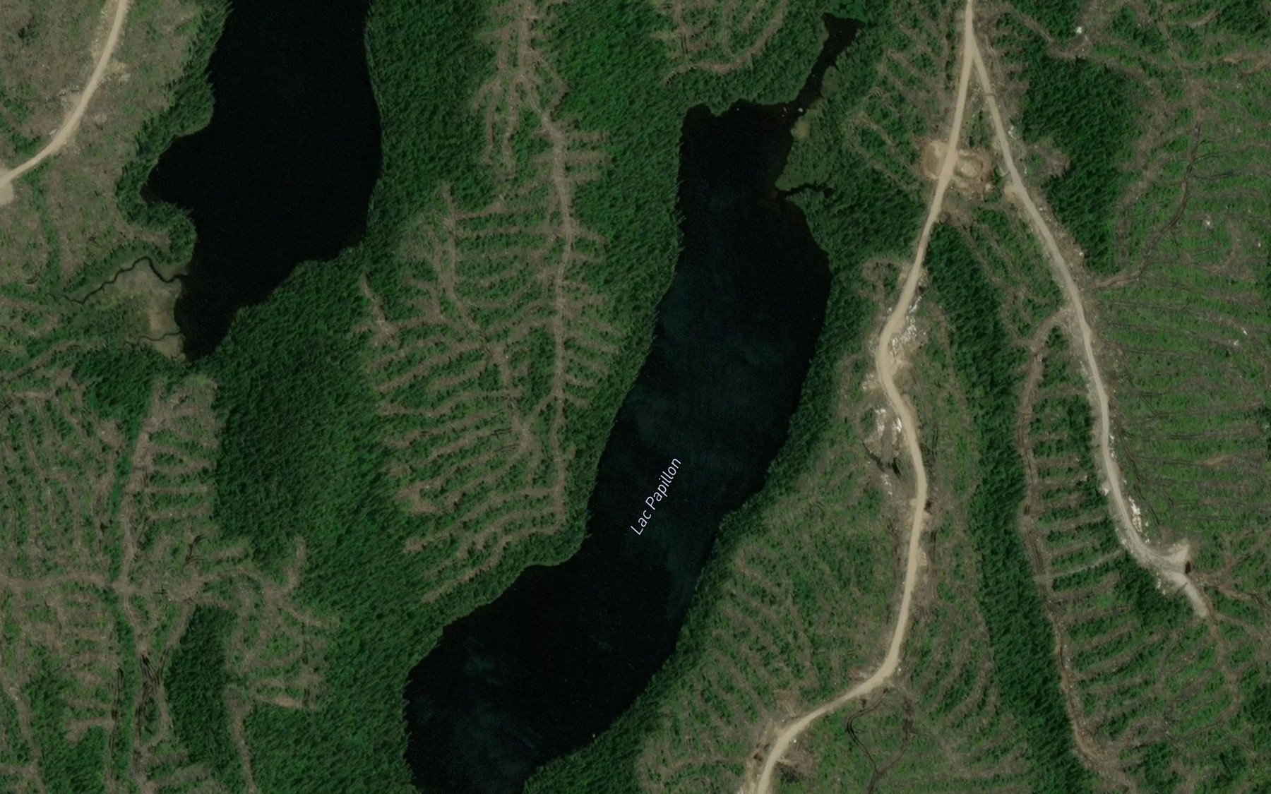 Satellite map of the Lac Papillon