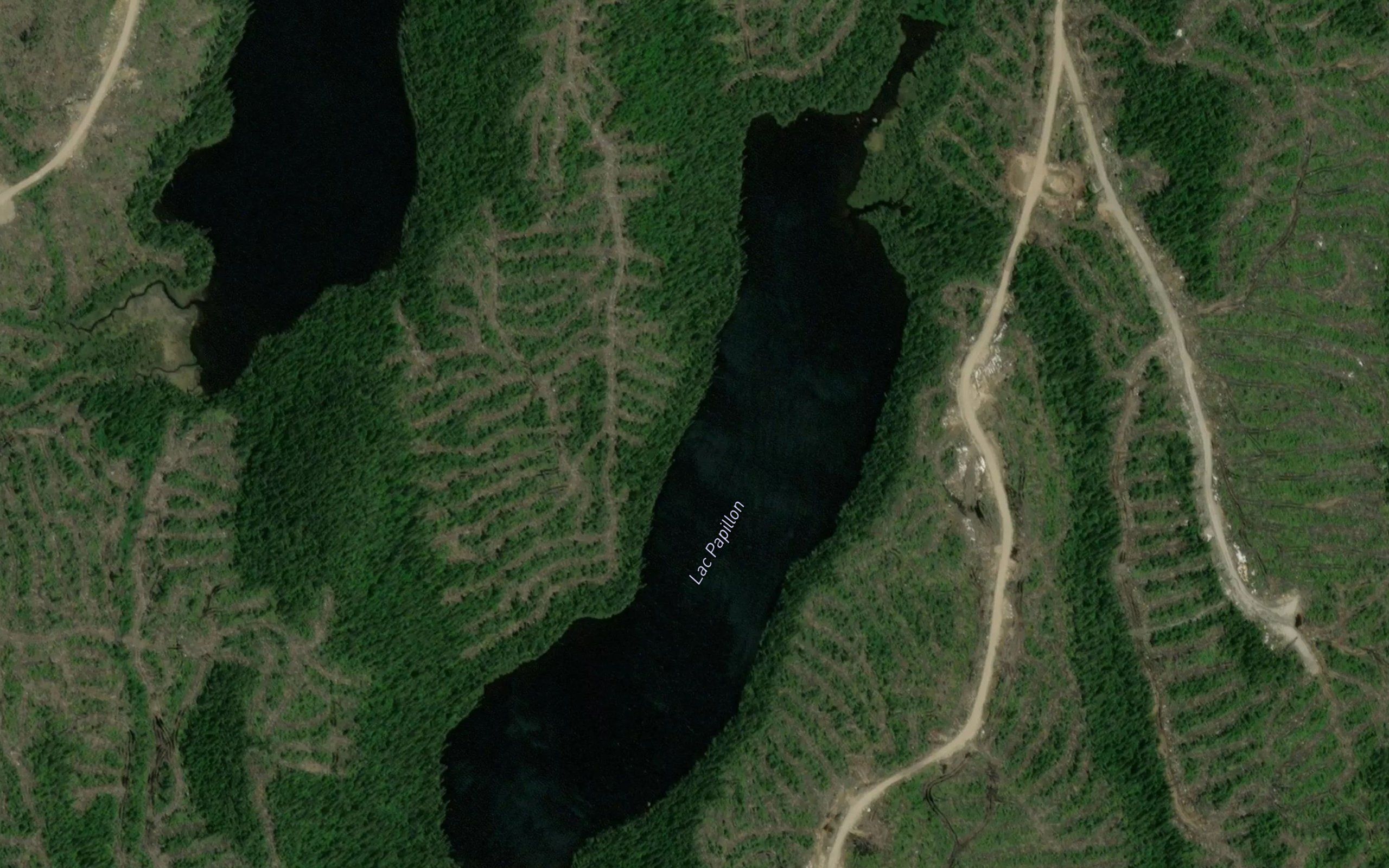 Lac Papillon