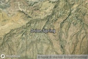Onion Spring
