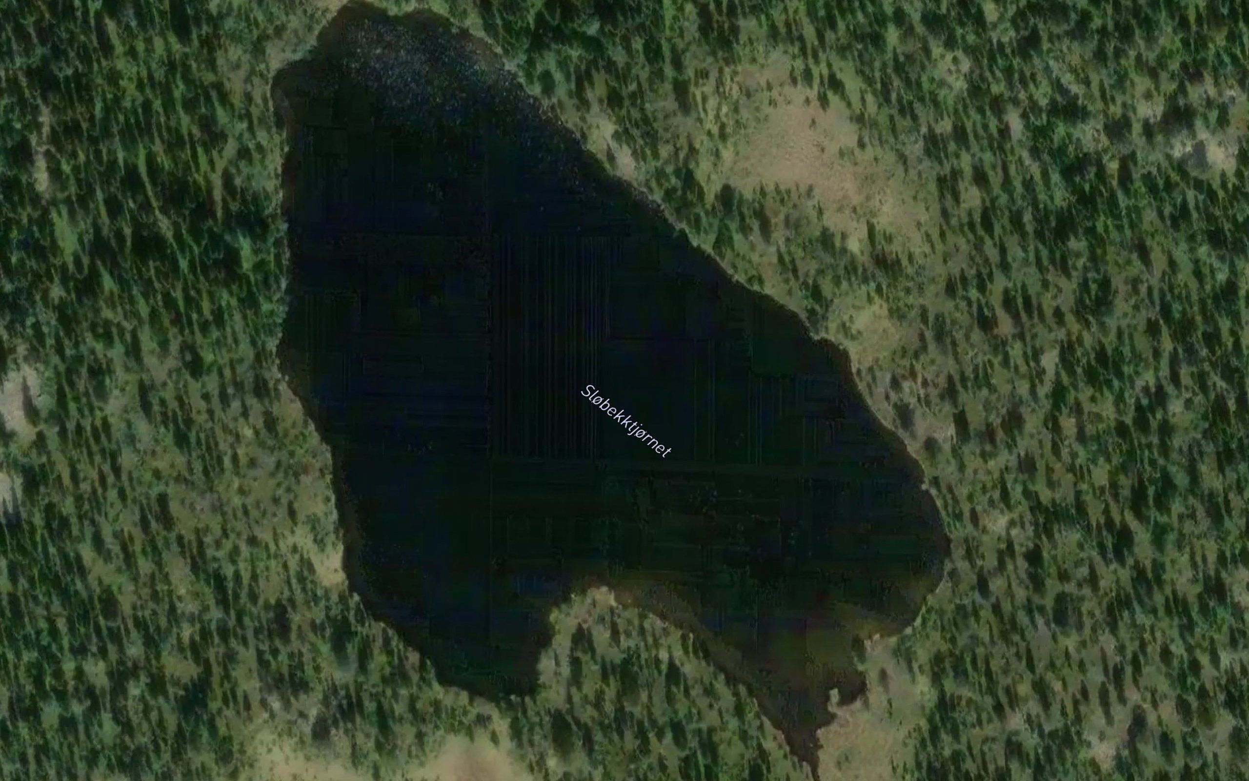 Slobekktjornet
