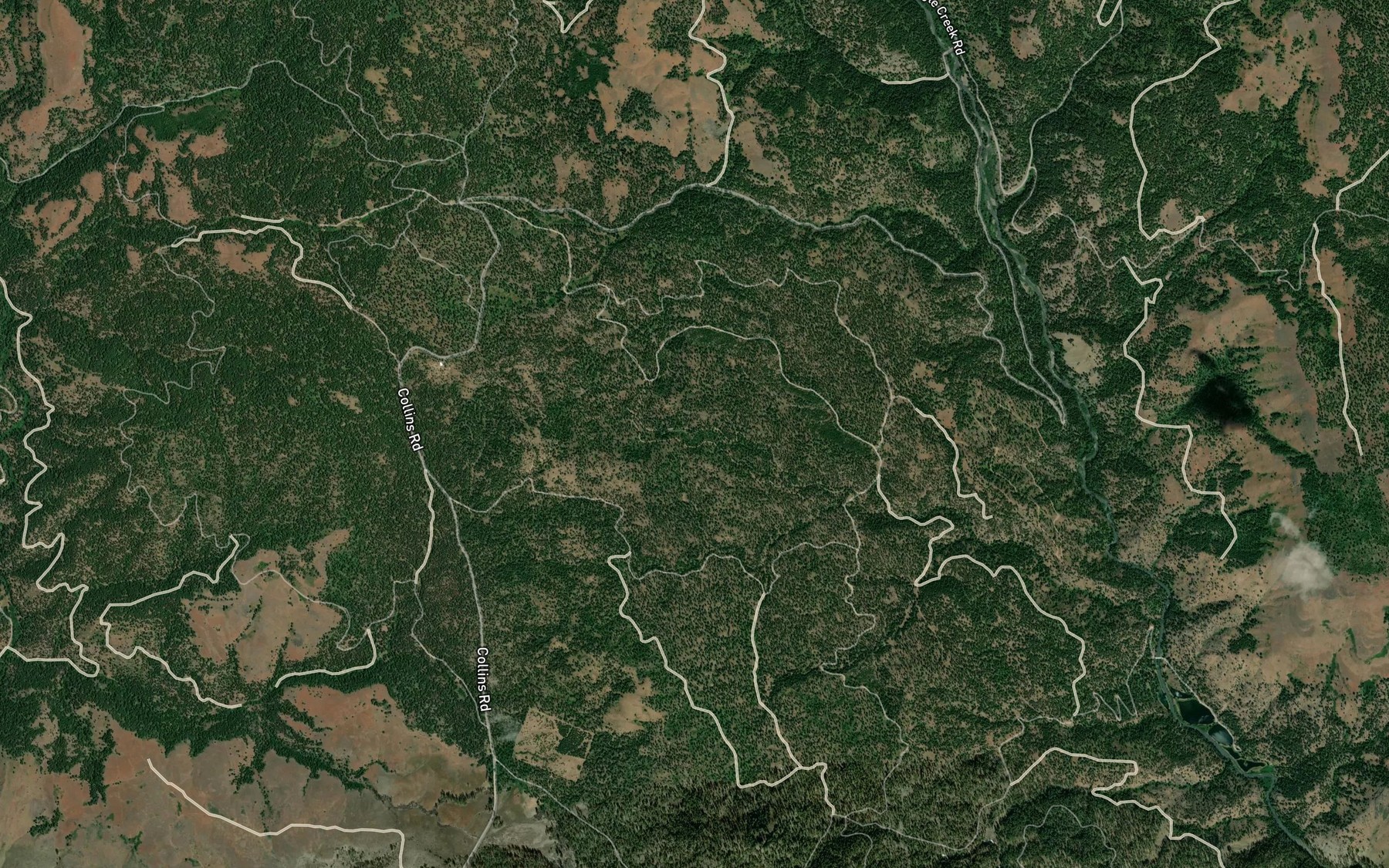 Satellite map of the Cup Spring