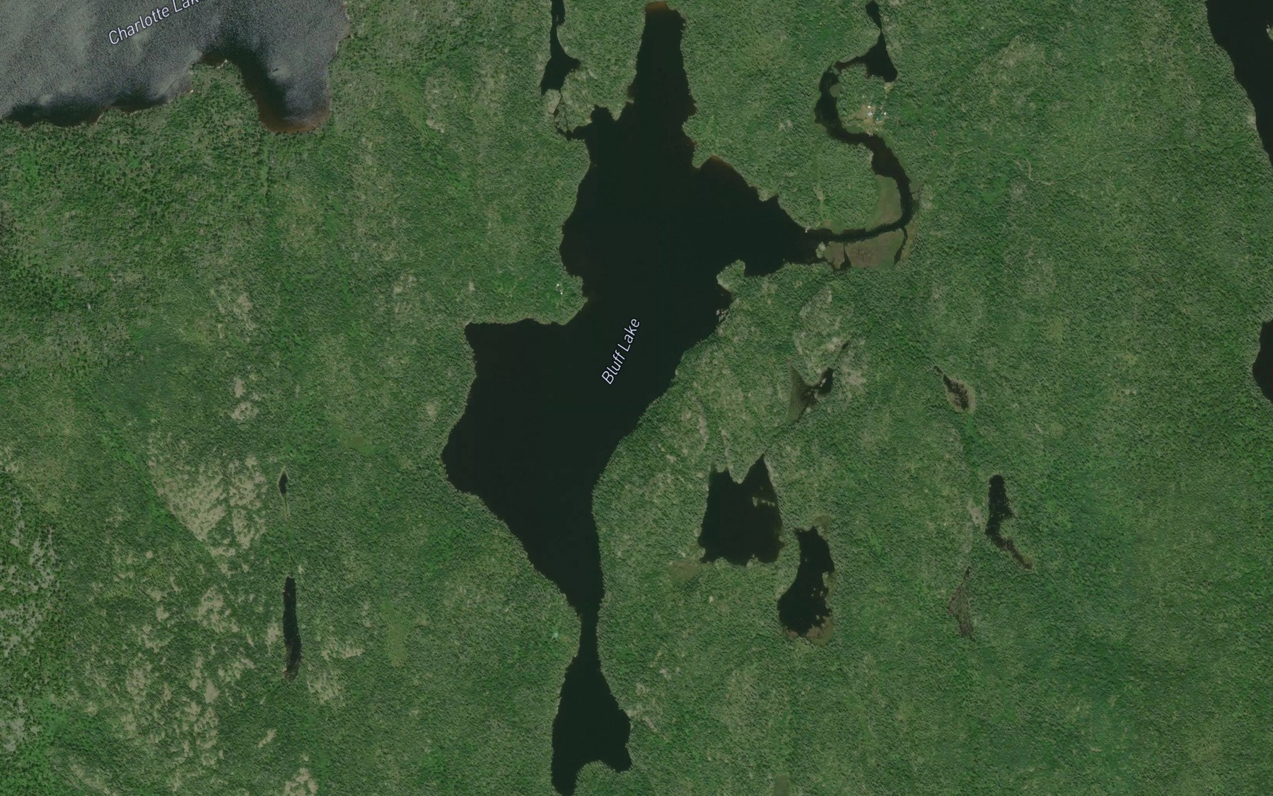 Satellite map of the Bluff Lake