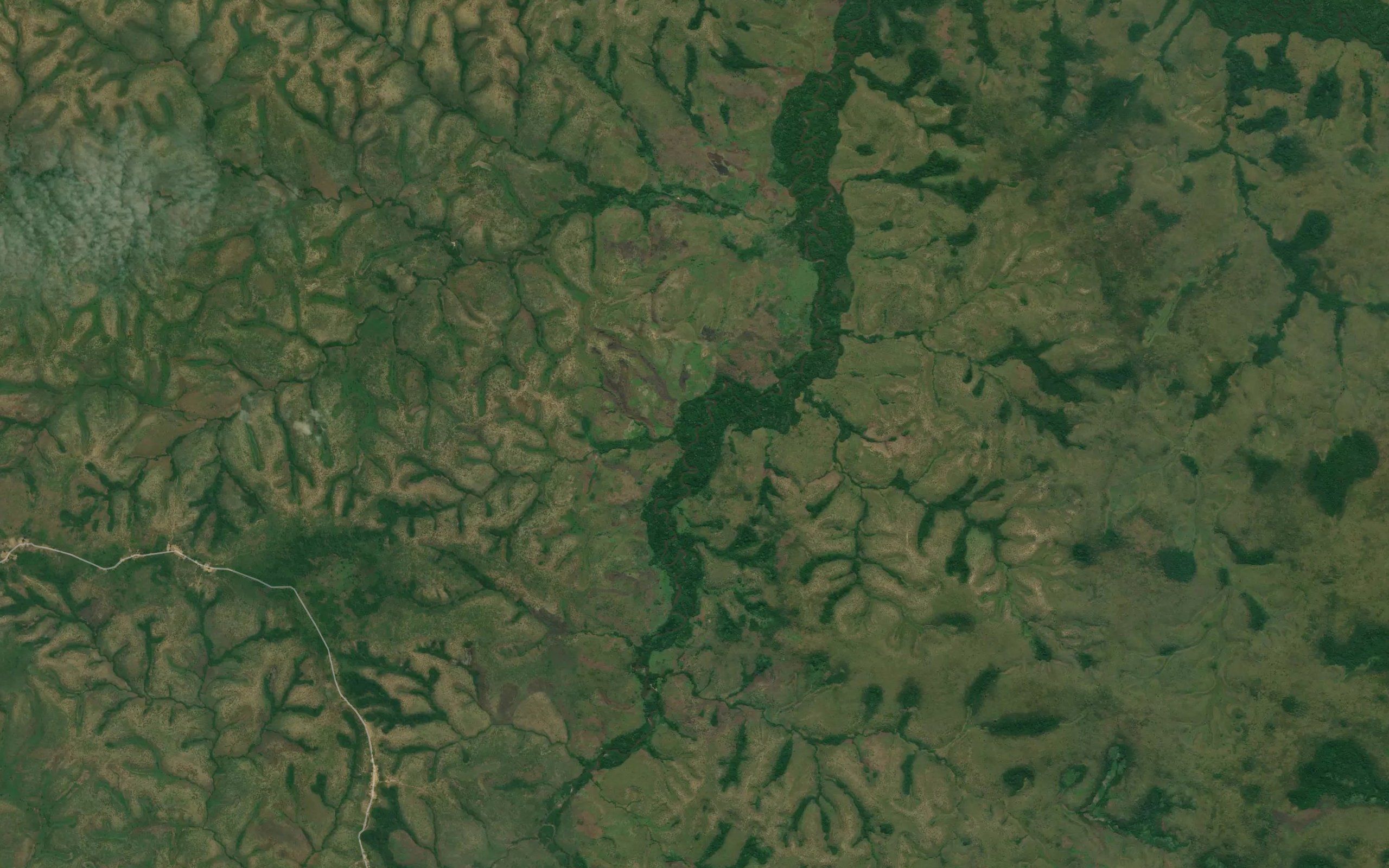 Tusseca
