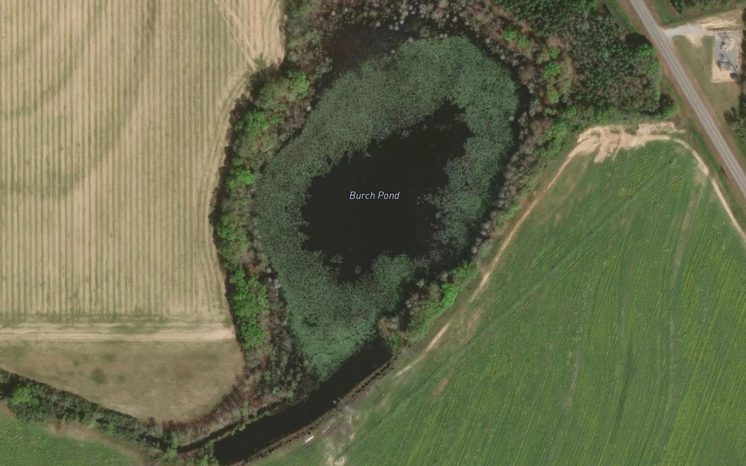 Burch Pond