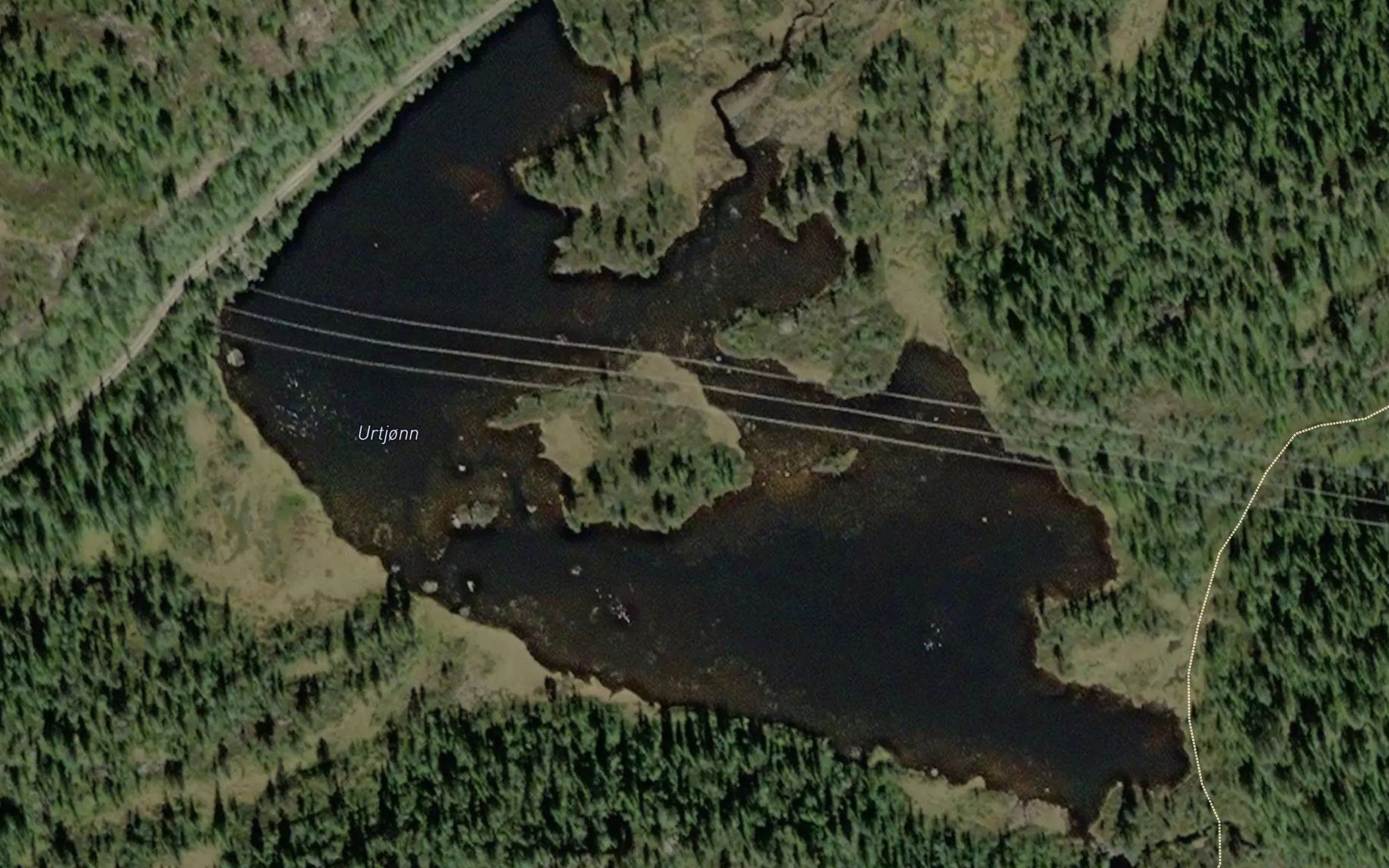 Urdtjorni