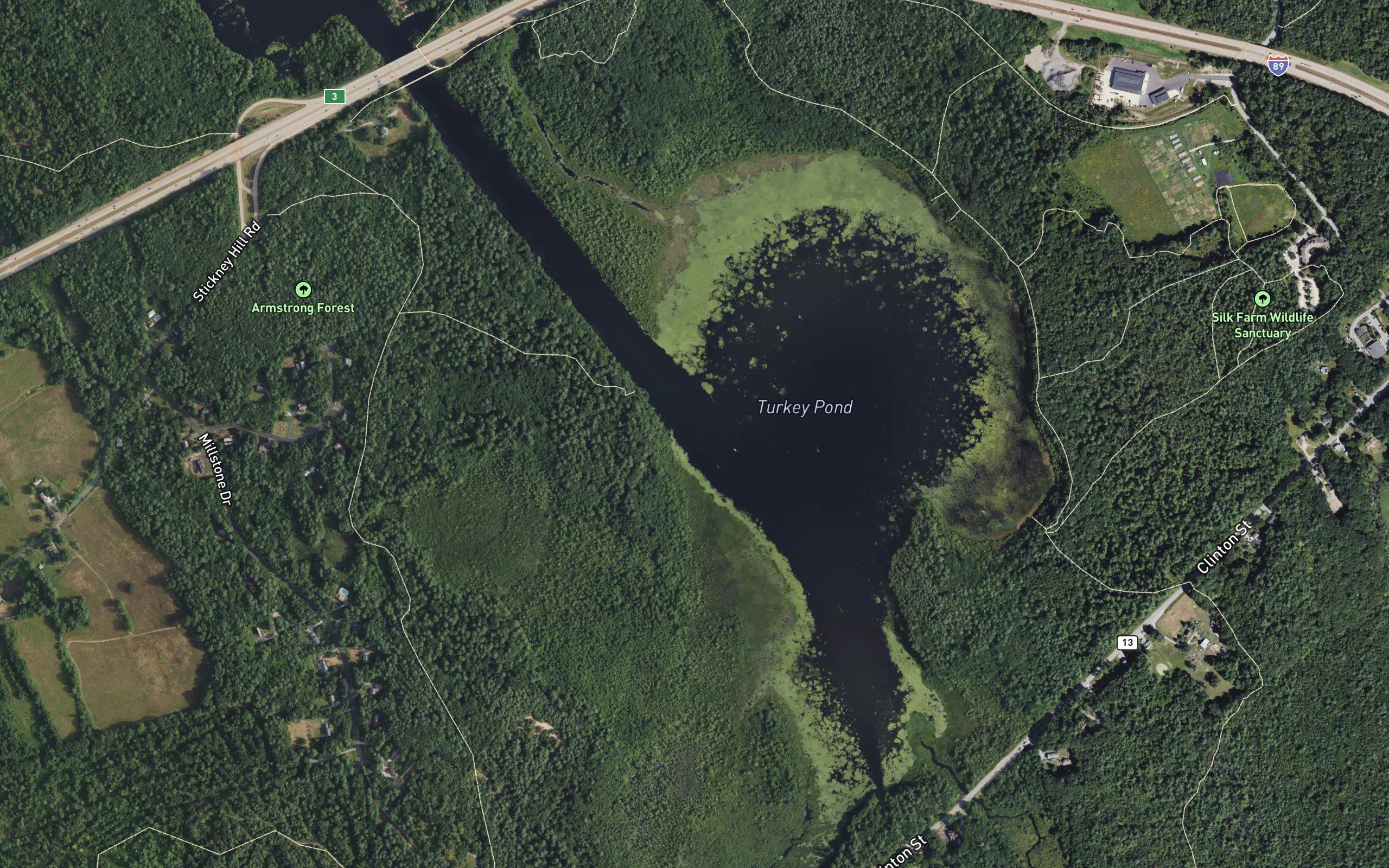 Turkey Pond
