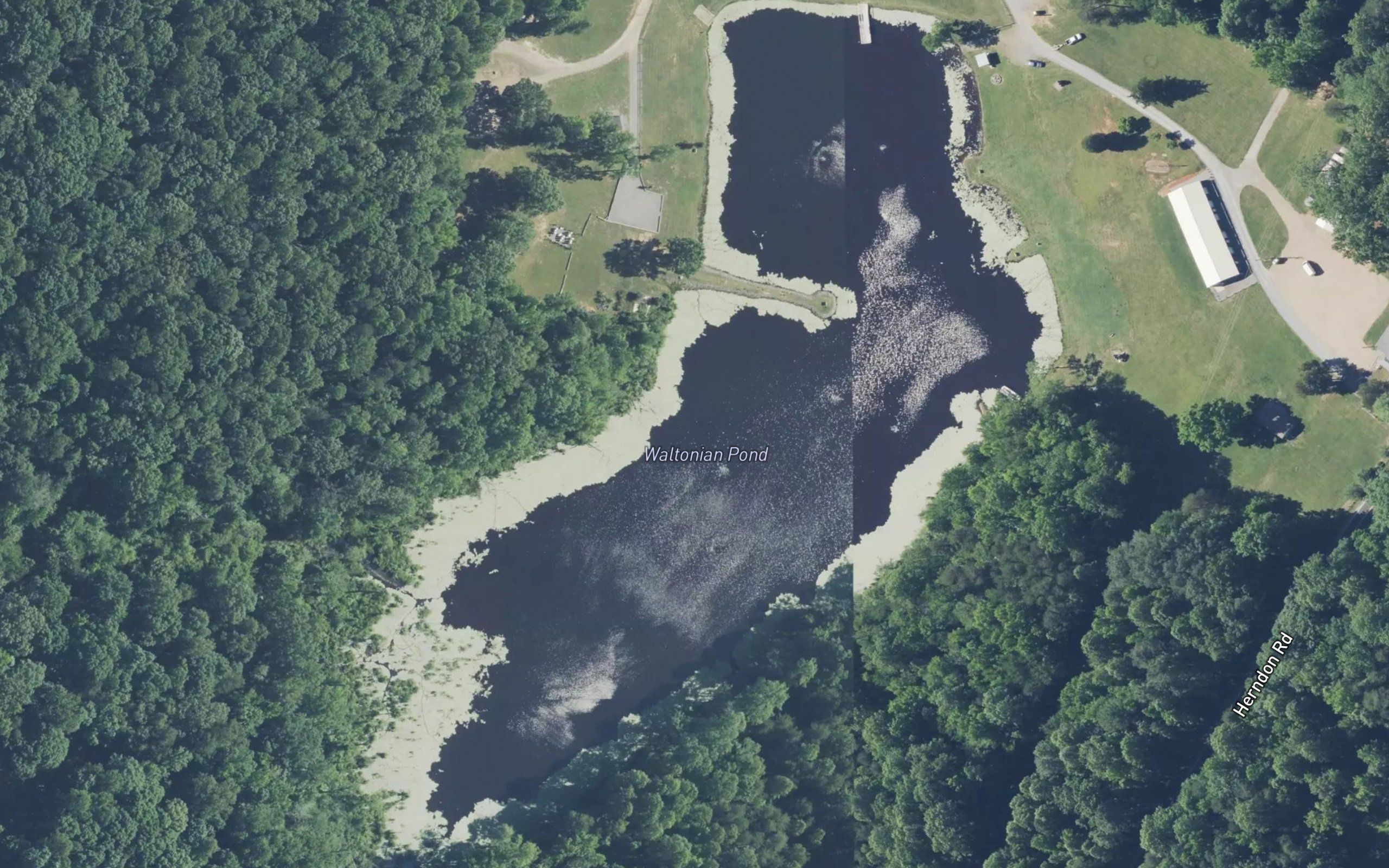 Waltonian Pond