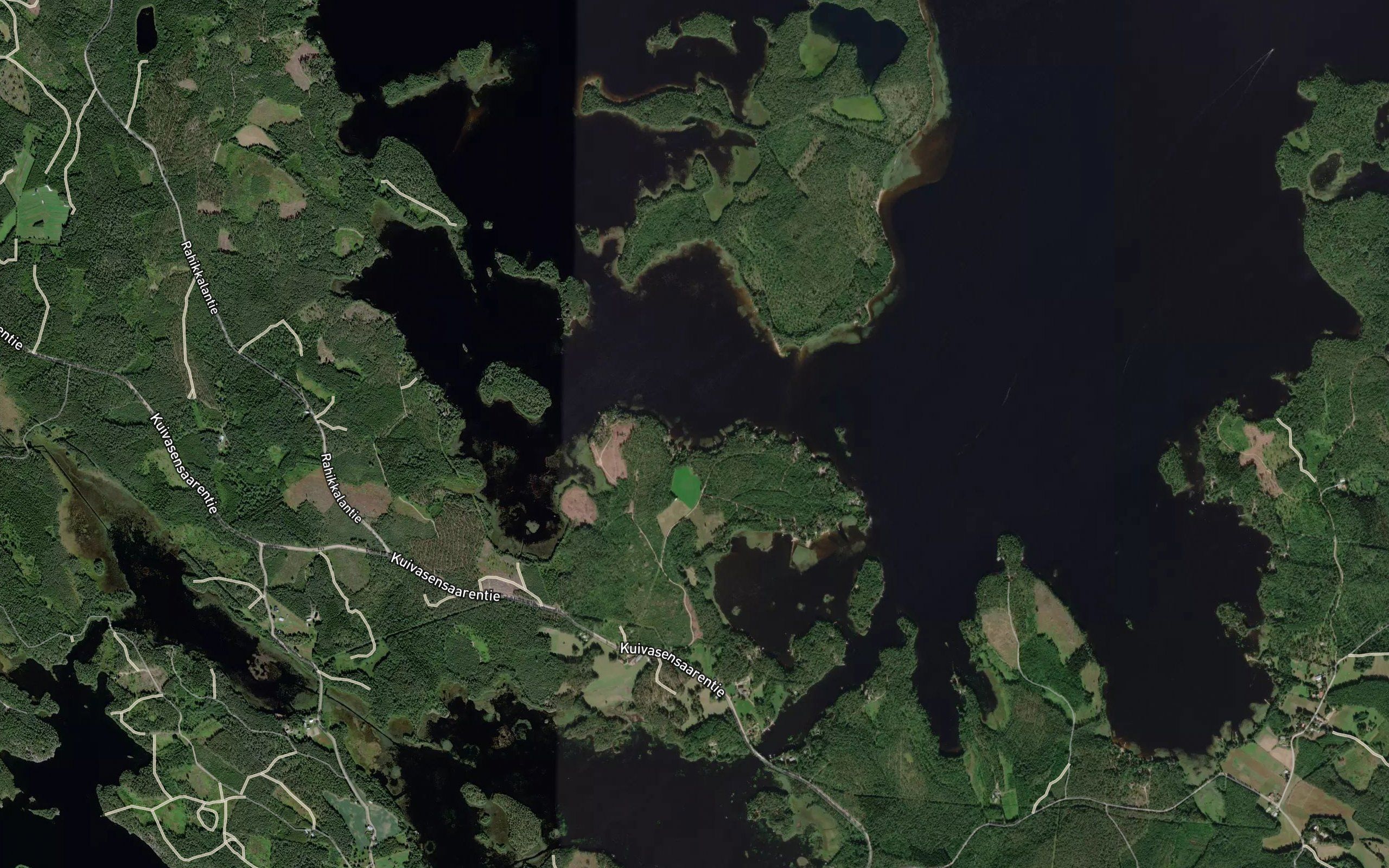 Rysalahti