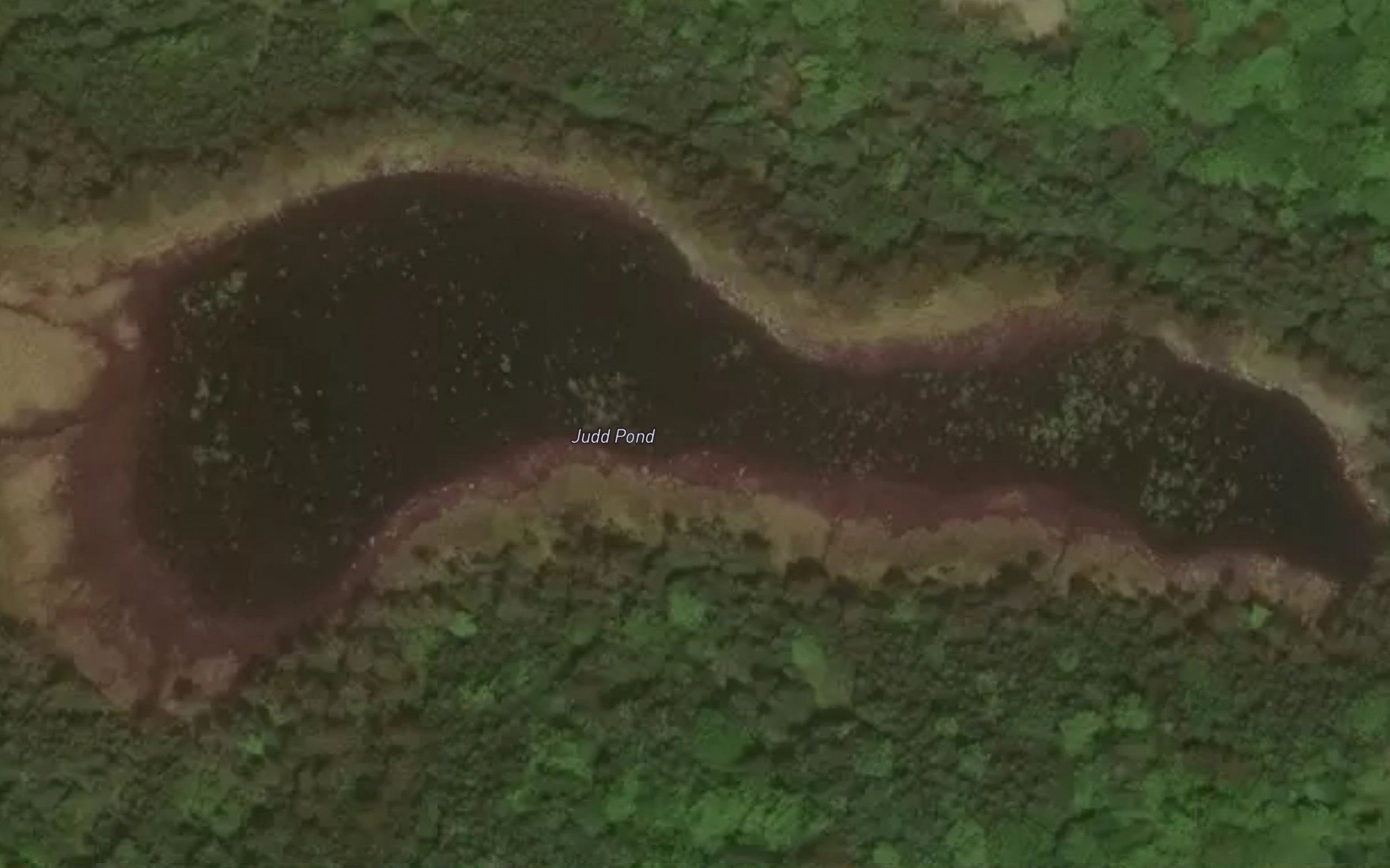 Judd Pond