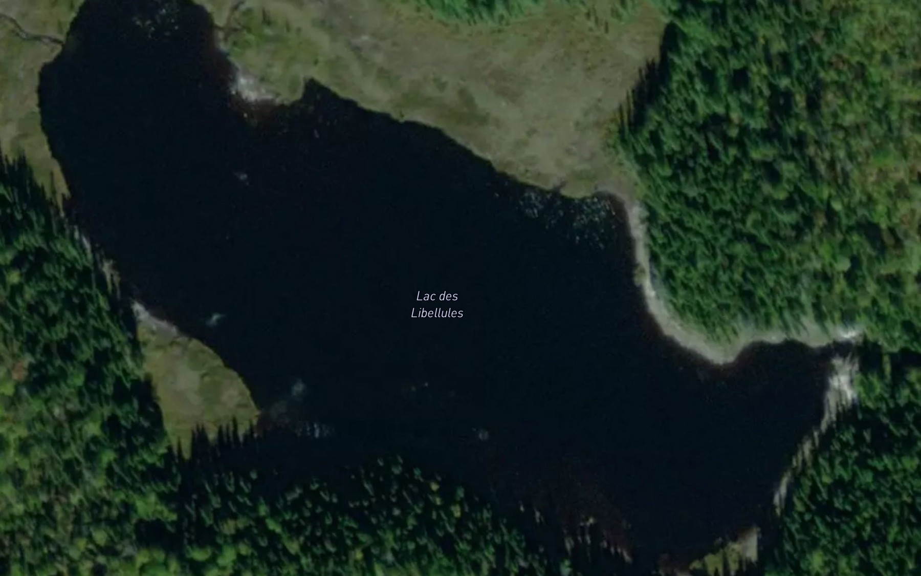 Satellite map of the Lac des Libellules